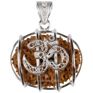 21 Mukhi Java Rudraksha pendant in 925 silver with OM design