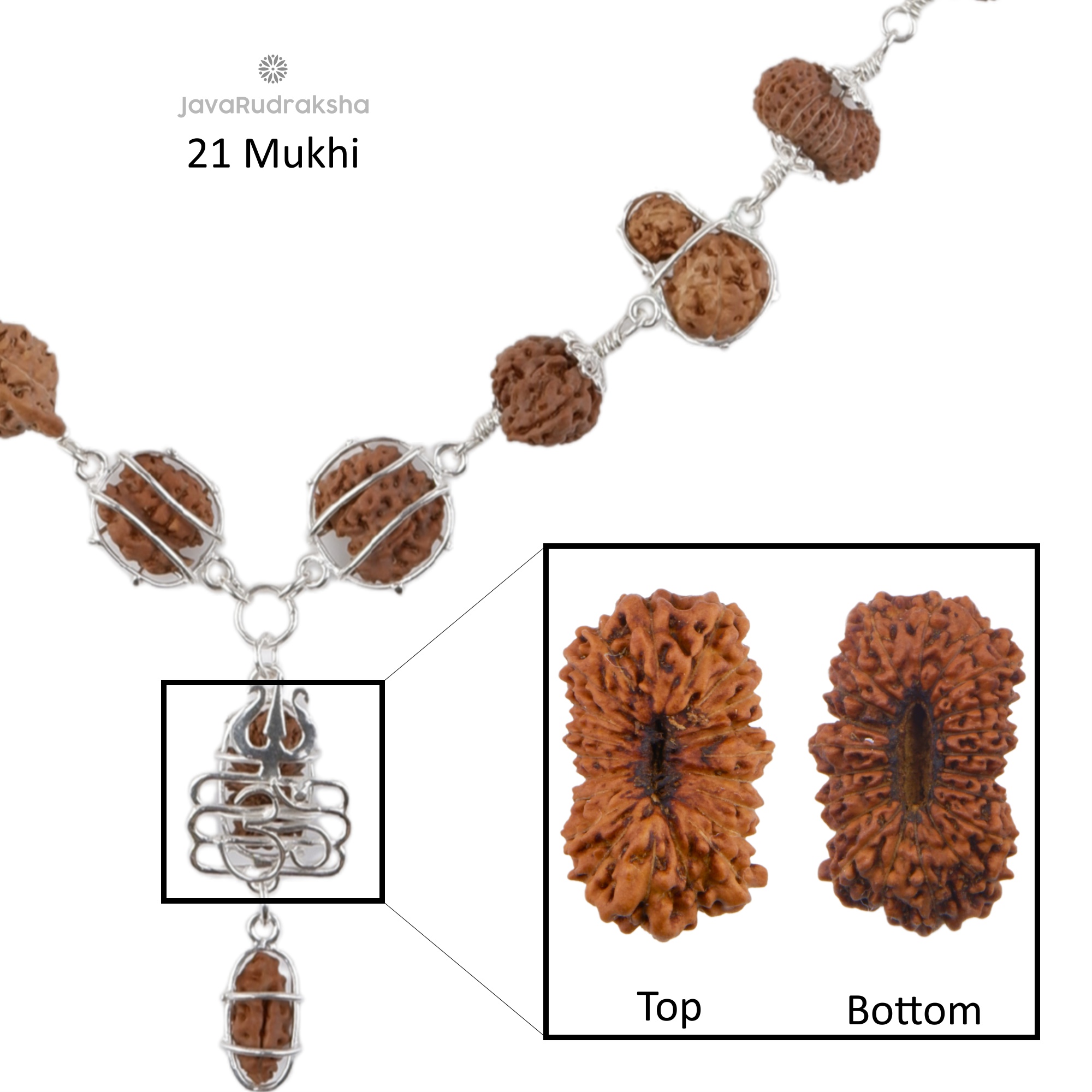 21 Mukhi Java Rudraksha sacred bead from Indra Mala IM01