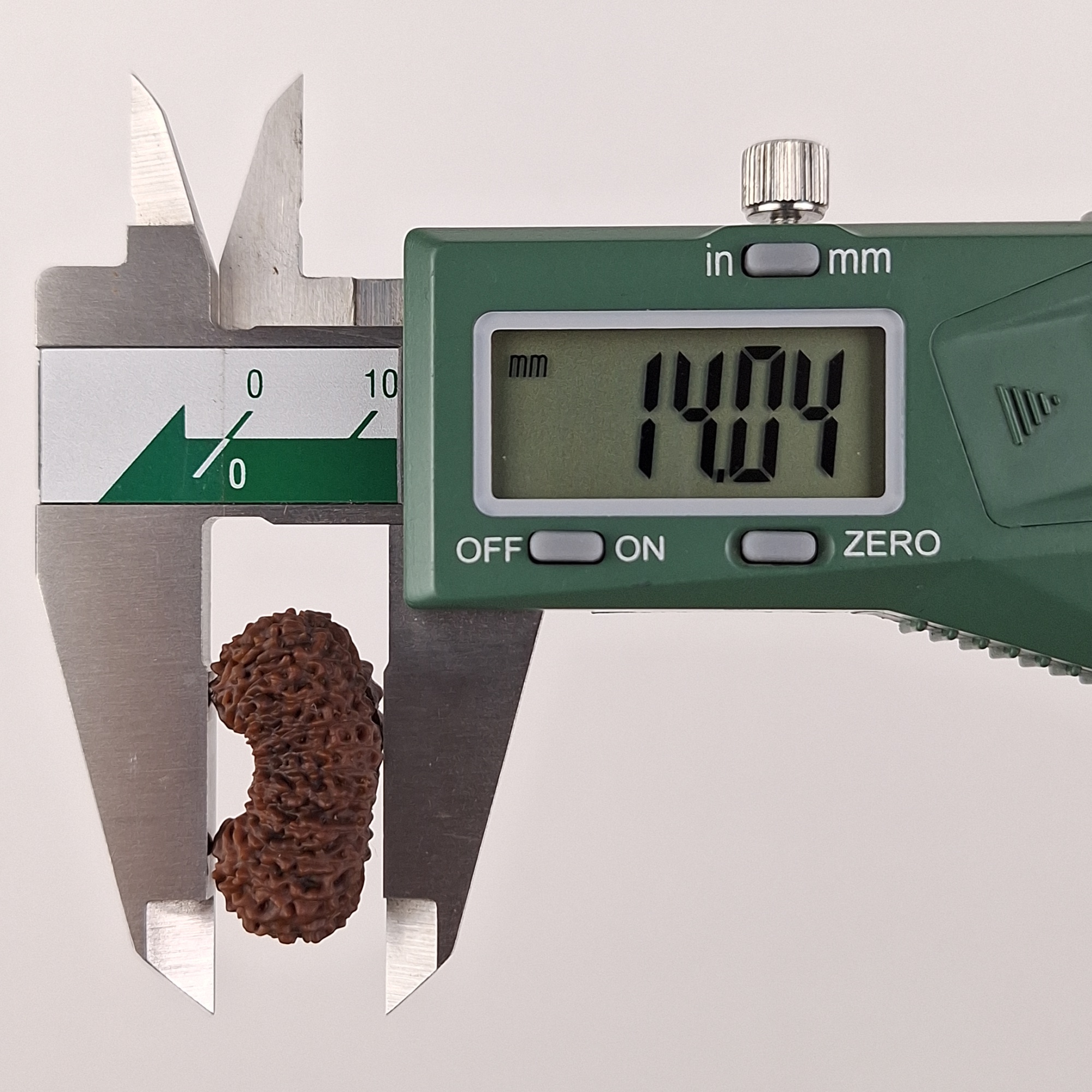 25 Mukhi Java Rudraksha bead depth measurement 14.04 mm