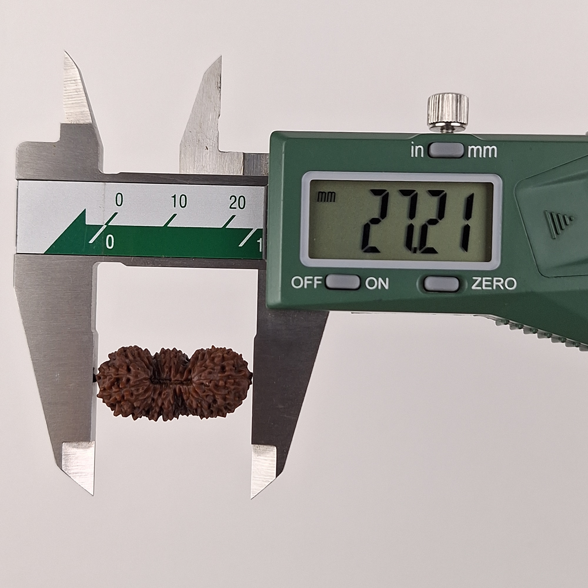 25 Mukhi Java Rudraksha bead length measurement 27.21 mm