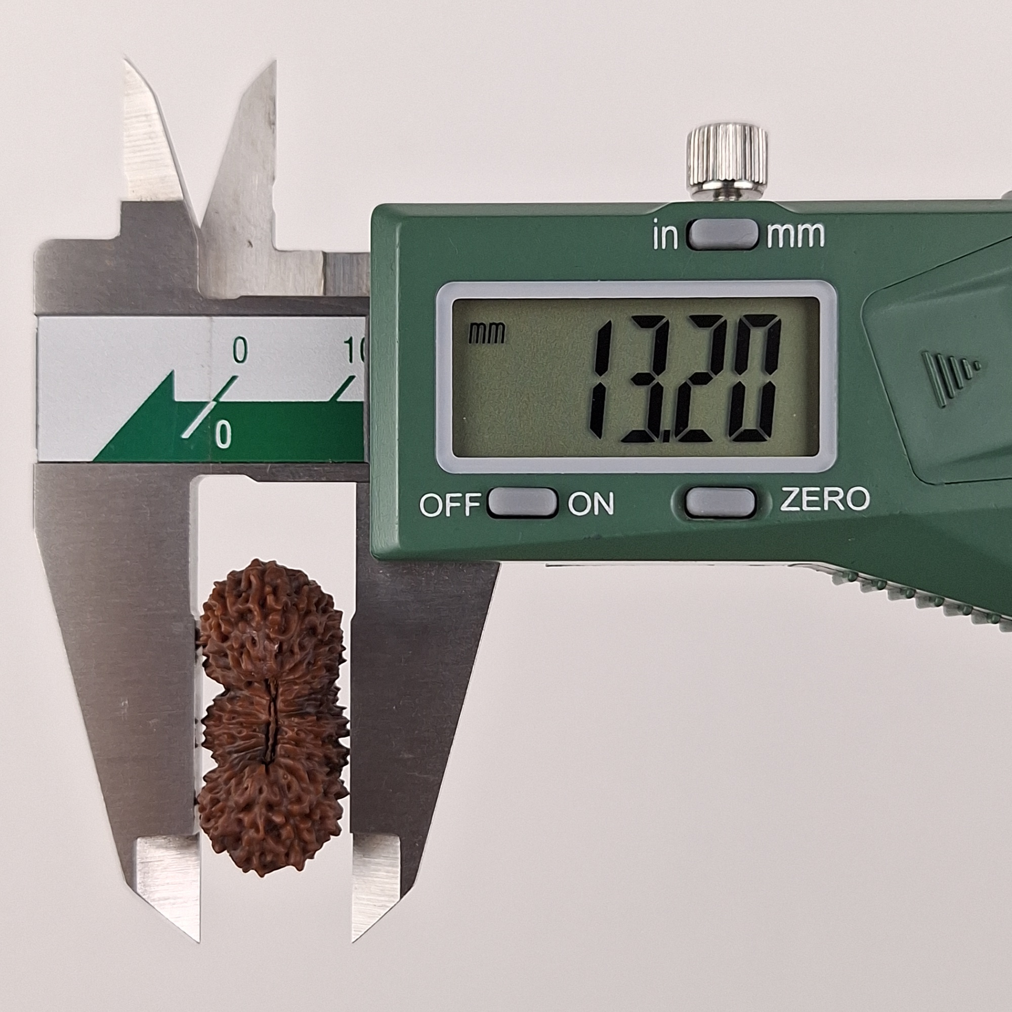 25 Mukhi Java Rudraksha bead width measurement 13.20 mm