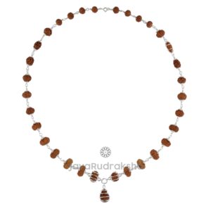 Indra Mala IM04 Java Rudraksha Necklace – Front View