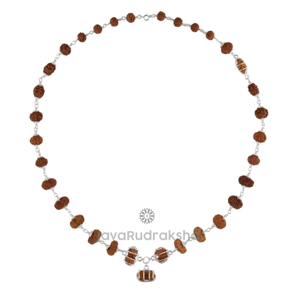 Indra Mala IM05 Java Rudraksha necklace front view