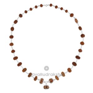 Indra Mala IM05 Java Rudraksha necklace front view