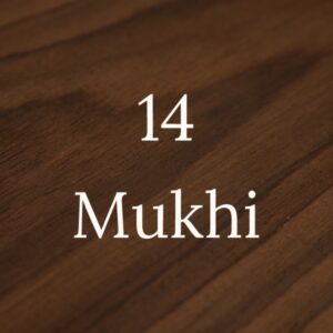 14 Mukhi
