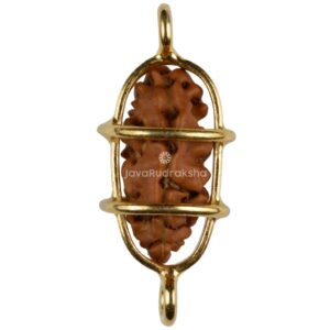 1 Mukhi Java Rudraksha 13.14 mm gold plated caged front view