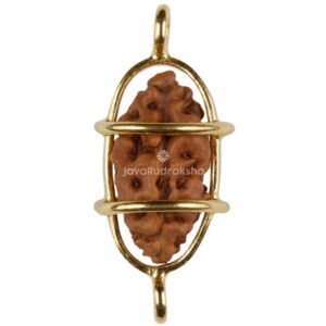1 Mukhi Java Rudraksha 13.20 mm gold plated caged front view