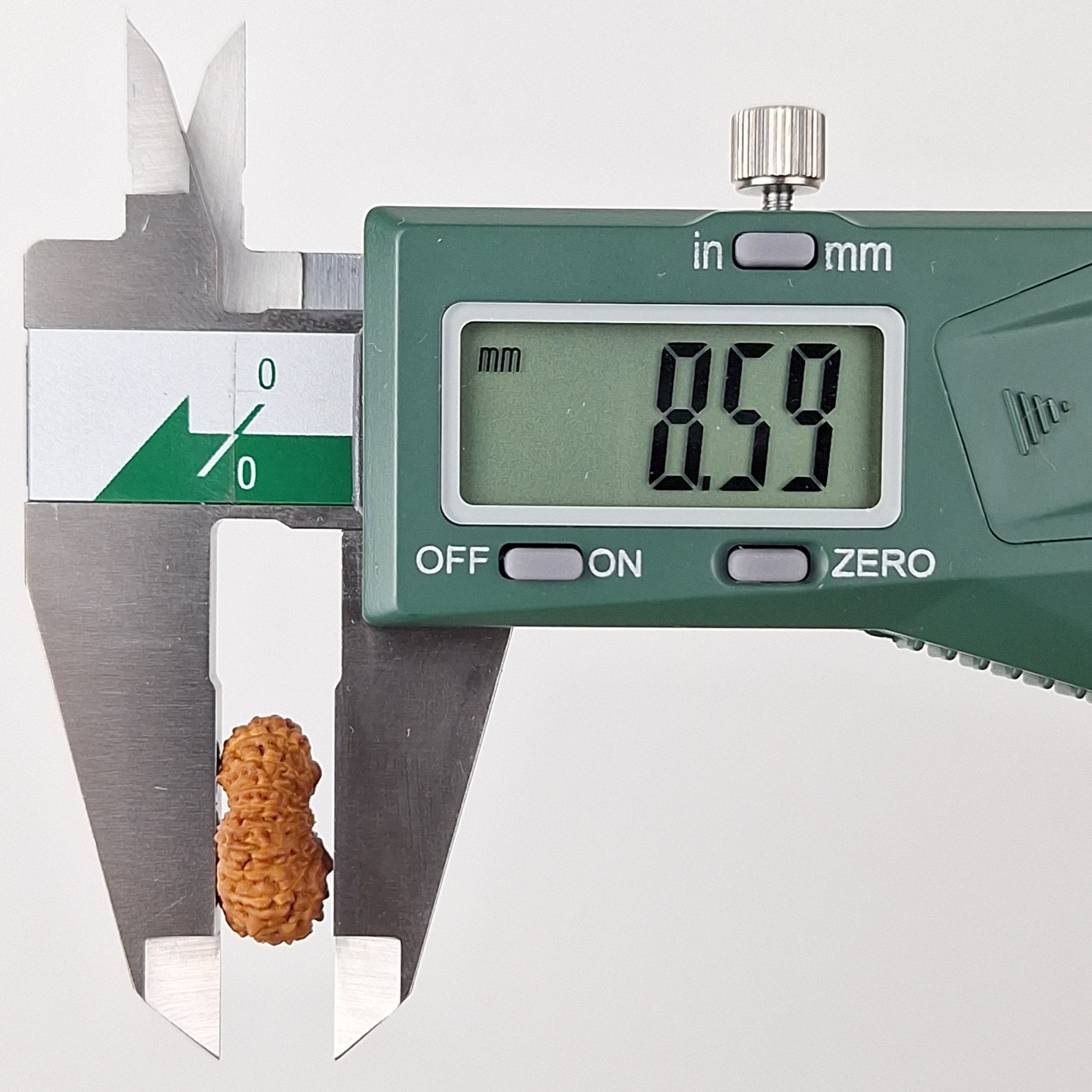 20 Mukhi Java Rudraksha 8.59 mm depth measurement