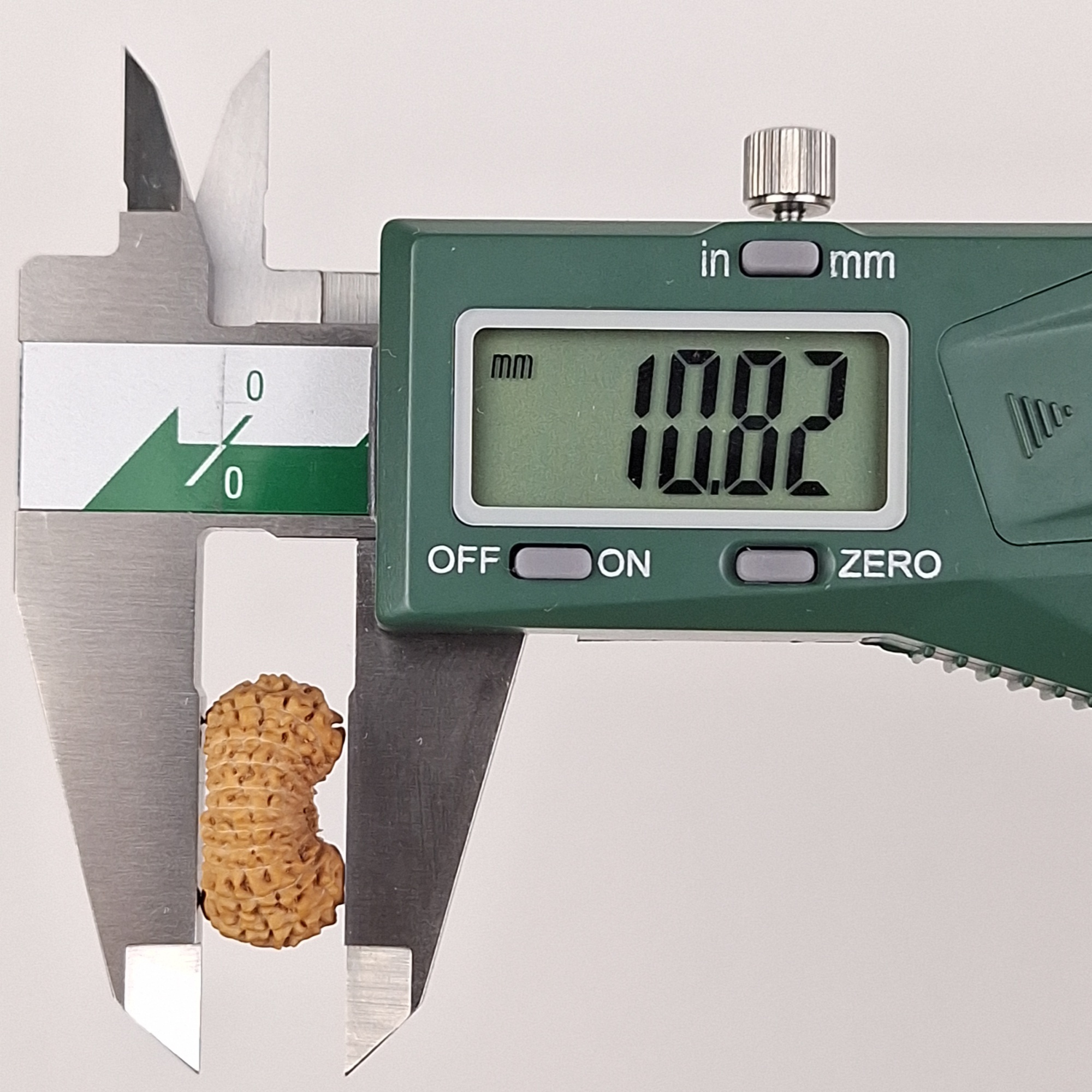 22 Mukhi Java Rudraksha 10.82 mm depth measurement