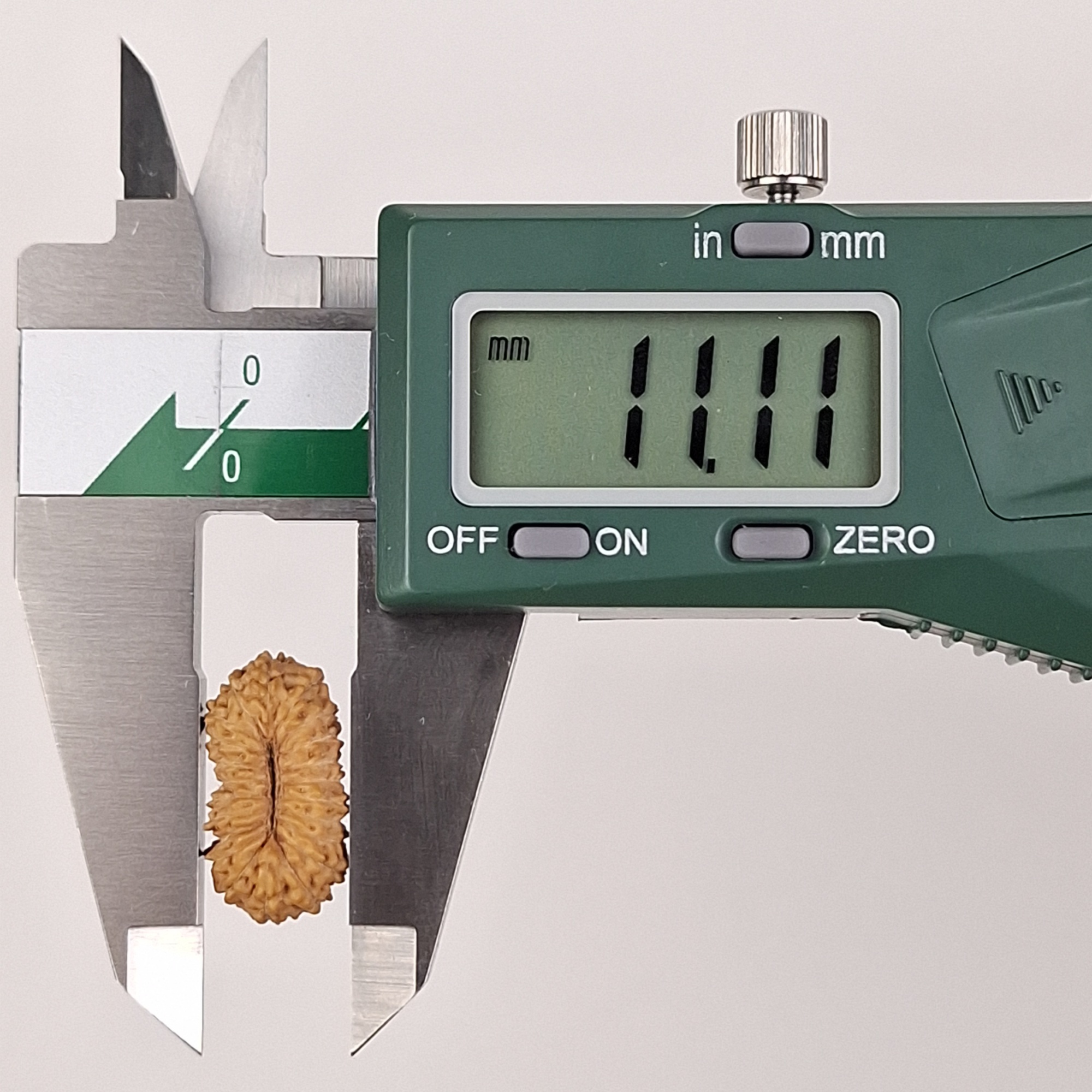 Digital caliper measurement showing the length of 22 Mukhi Java Rudraksha bead at 20.45 mm.