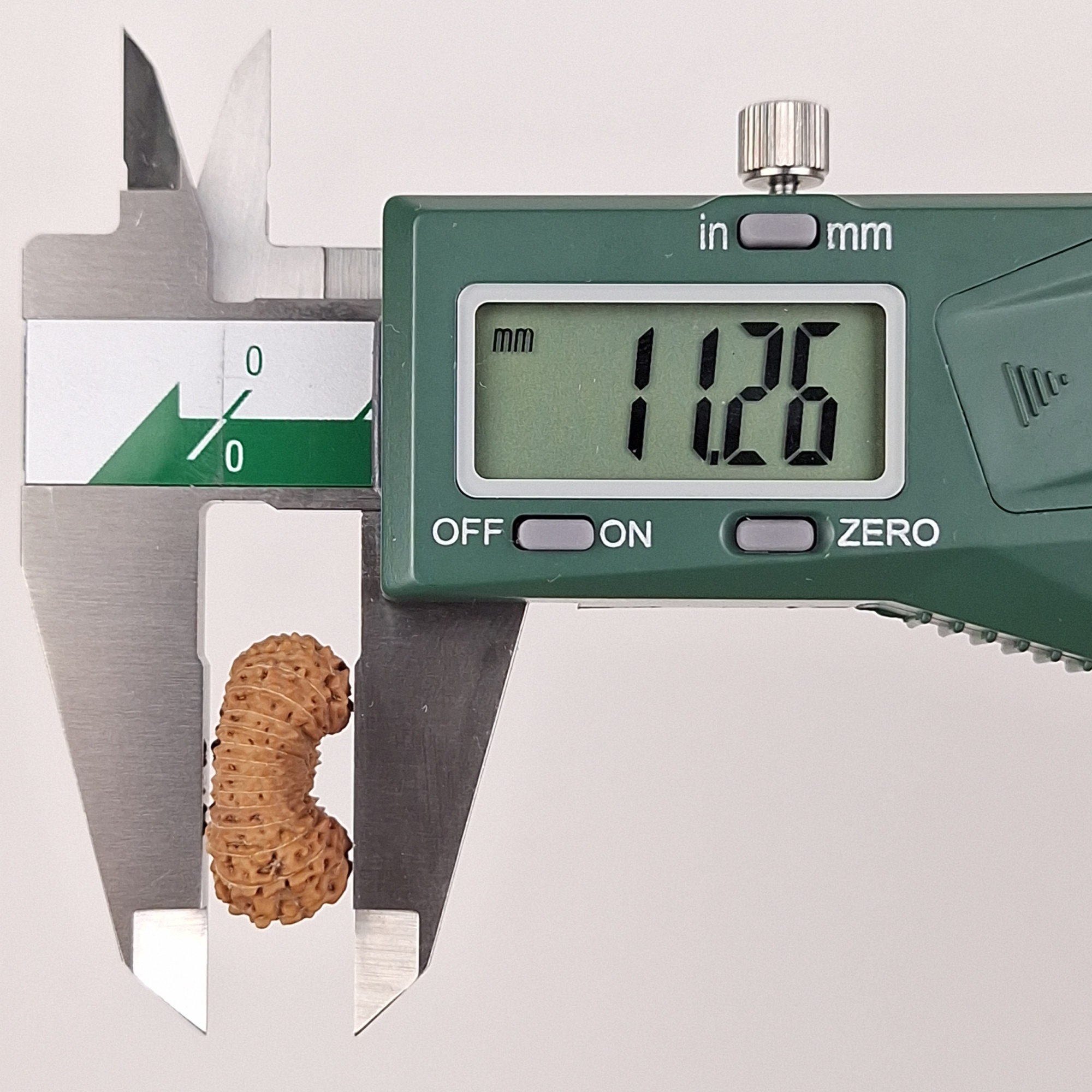 26 Mukhi Java Rudraksha 11.26 mm depth measurement