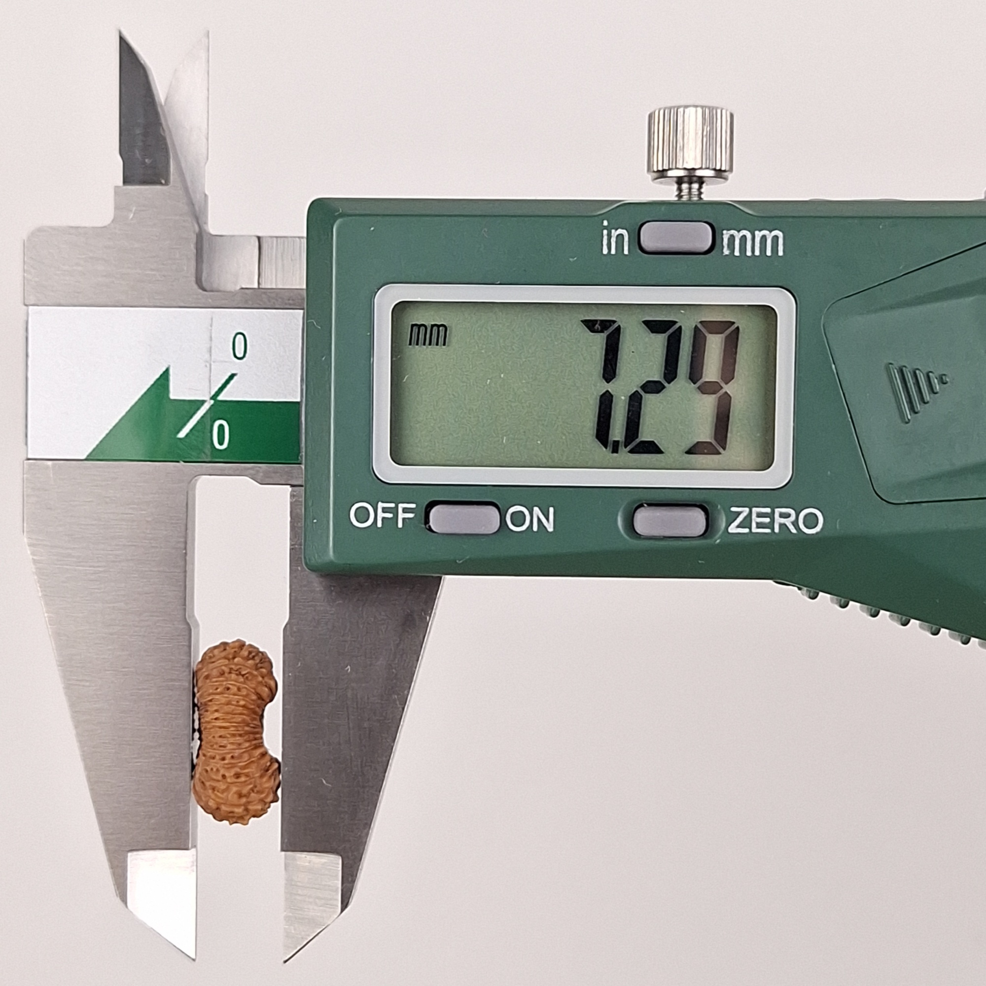 27 Mukhi Java Rudraksha 7.29 mm depth measurement