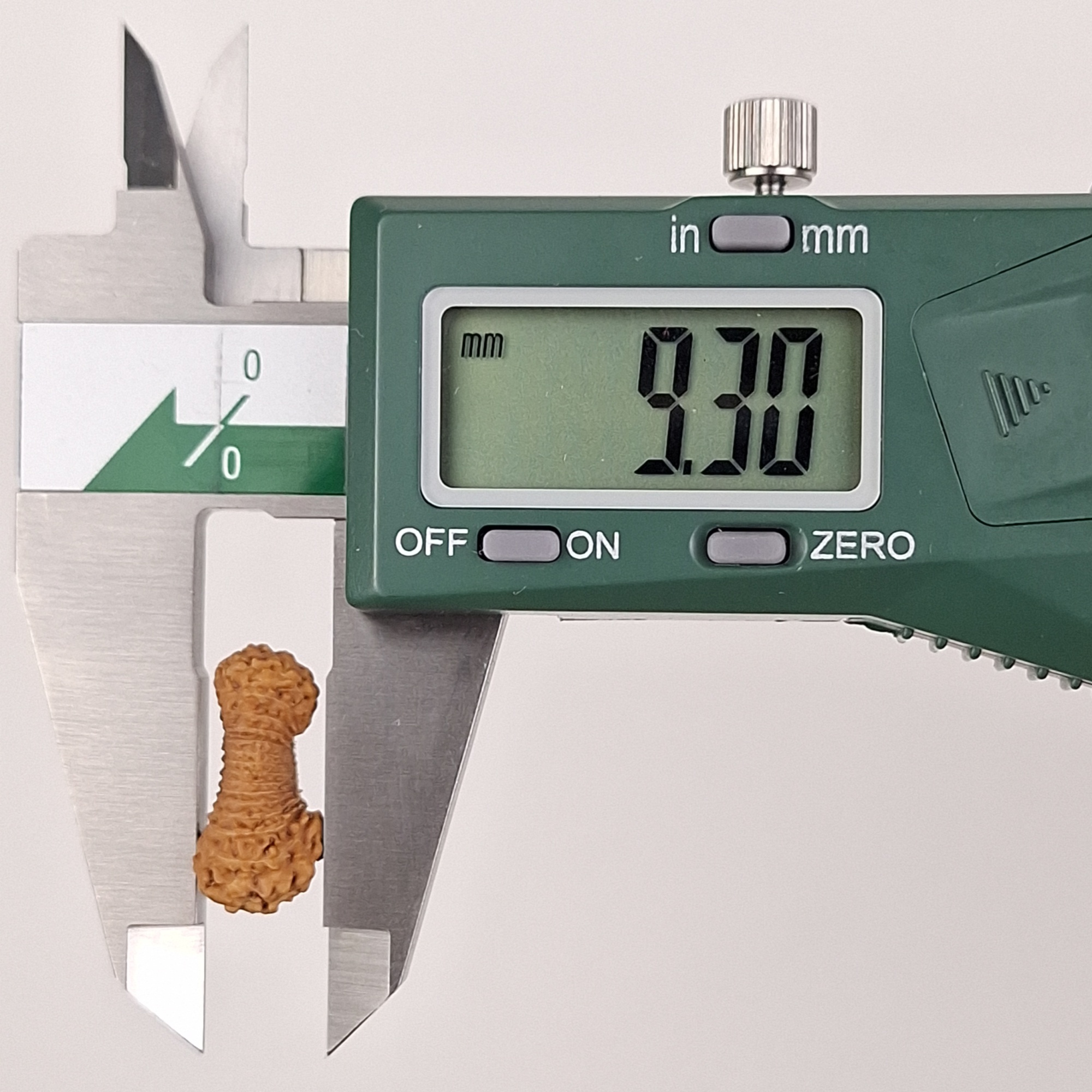 29 Mukhi Java Rudraksha 9.30 mm depth measurement