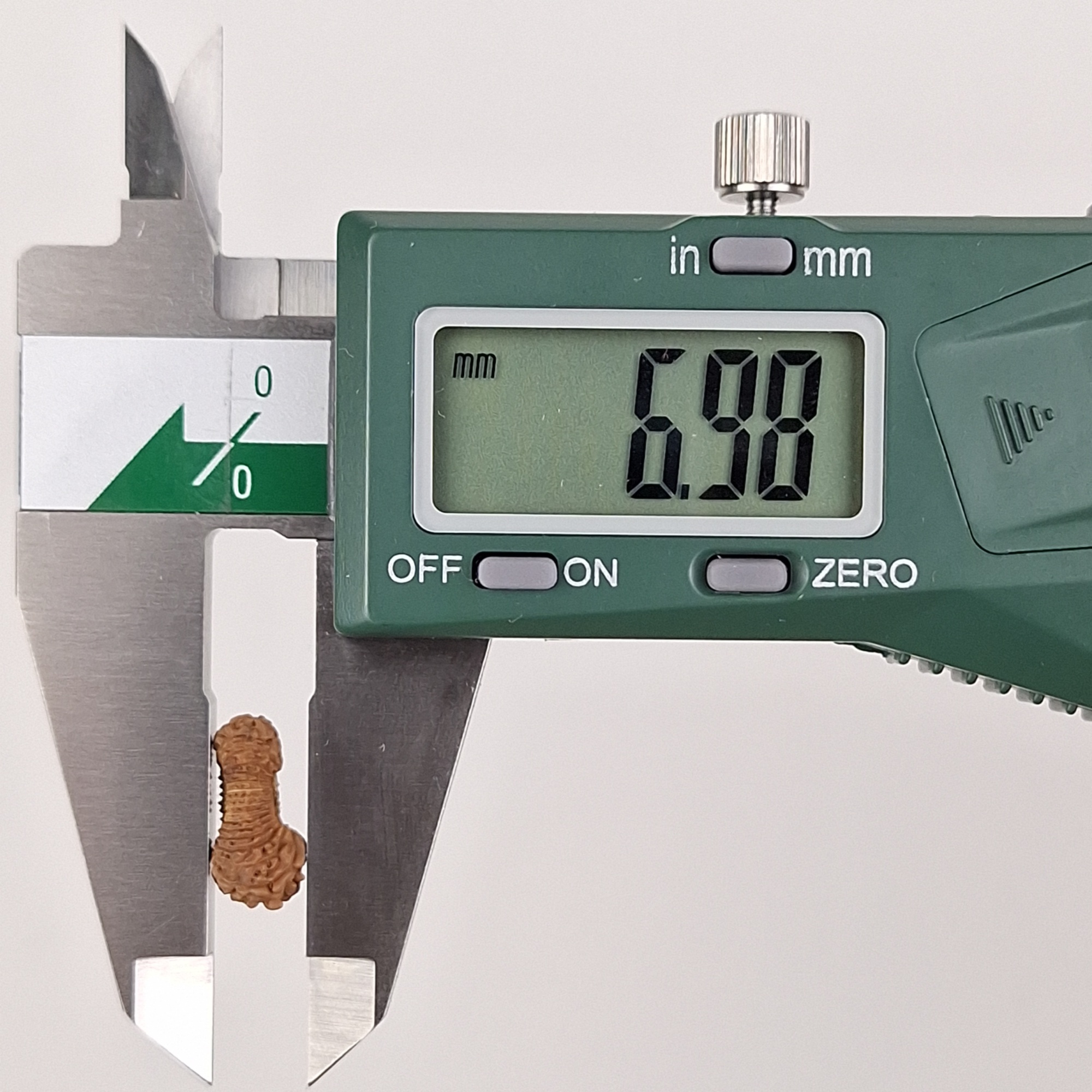 30 Mukhi Java Rudraksha 6.98 mm depth measurement