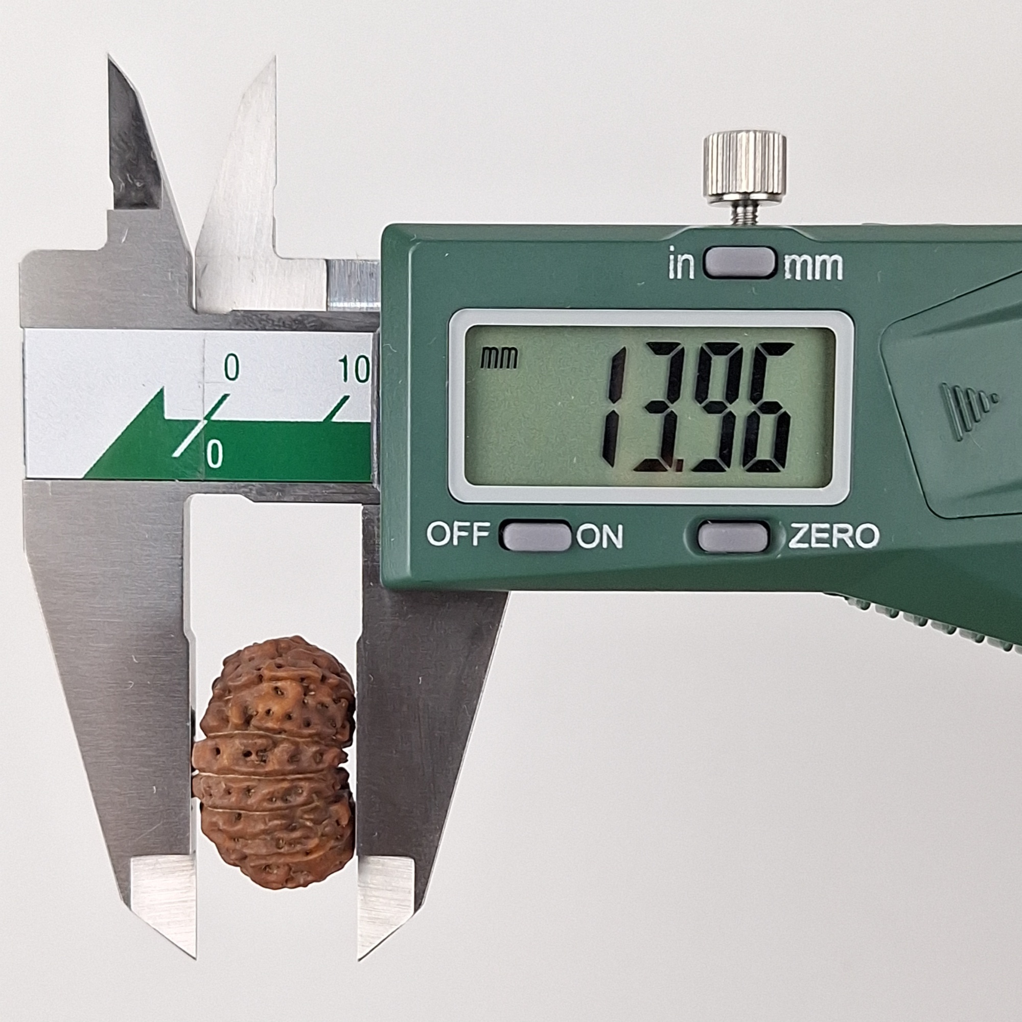 14 Mukhi Java Rudraksha 13.96 mm depth measurement
