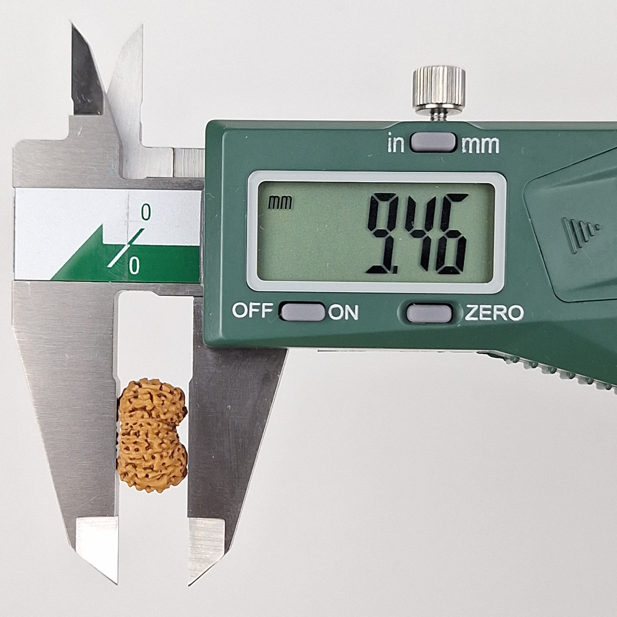 17 Mukhi Java Rudraksha 9.46 mm depth measurement