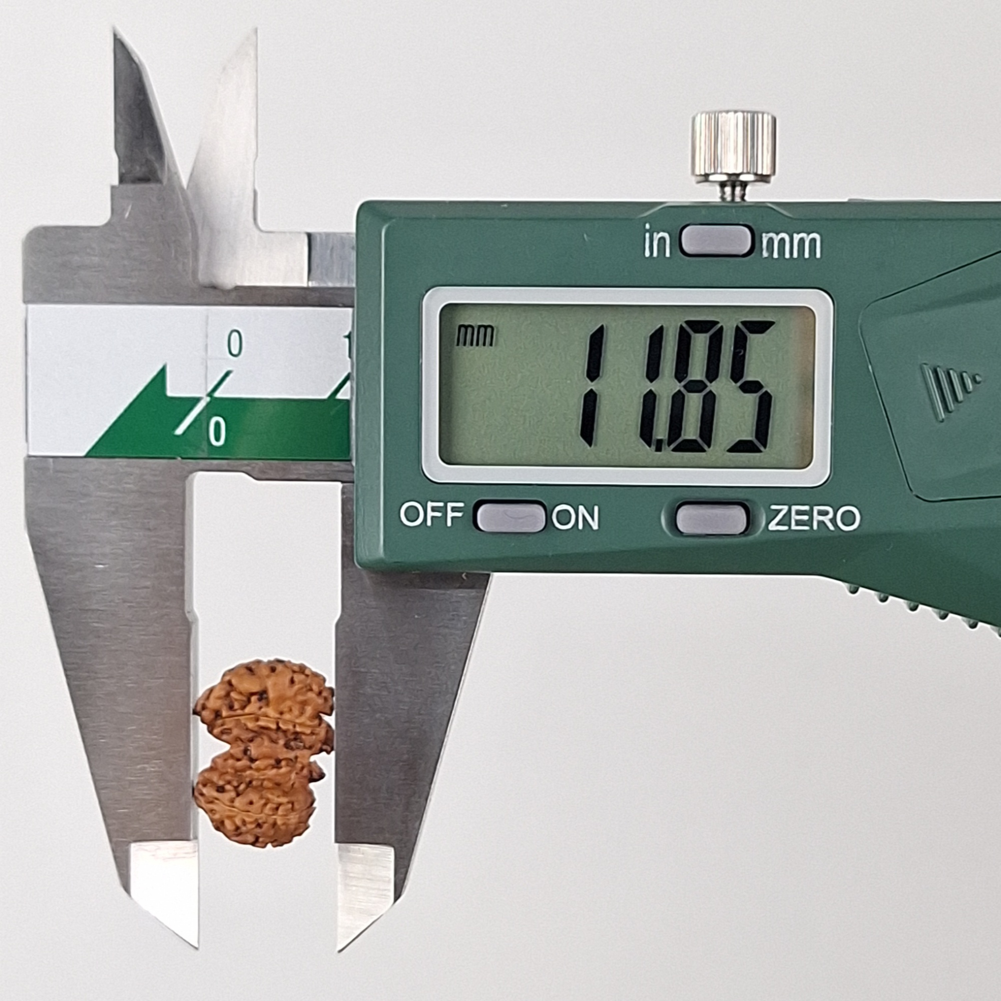 Chaturjuti Java Rudraksha 11.85 mm depth measurement