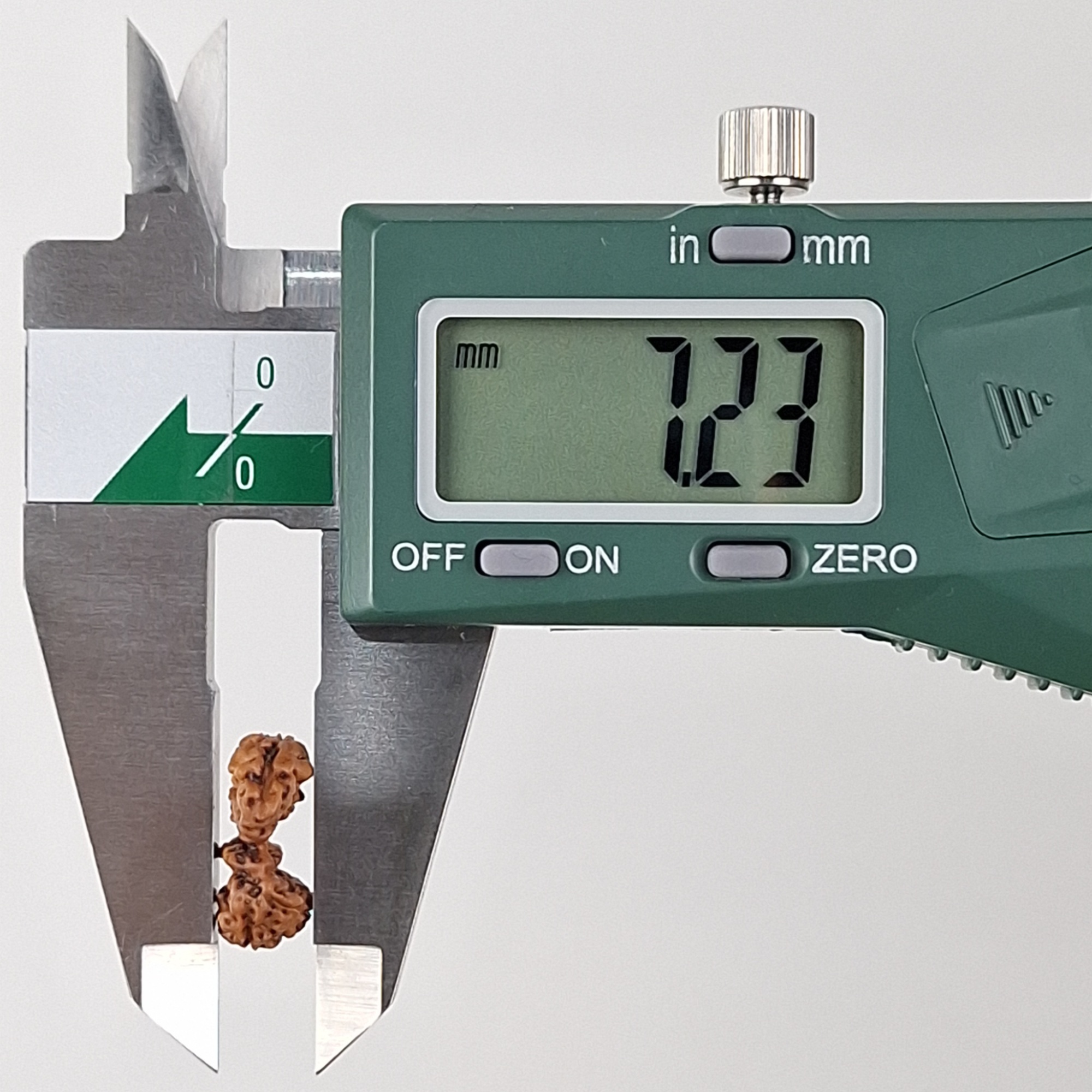 Chaturjuti Java Rudraksha 7.23 mm width measurement