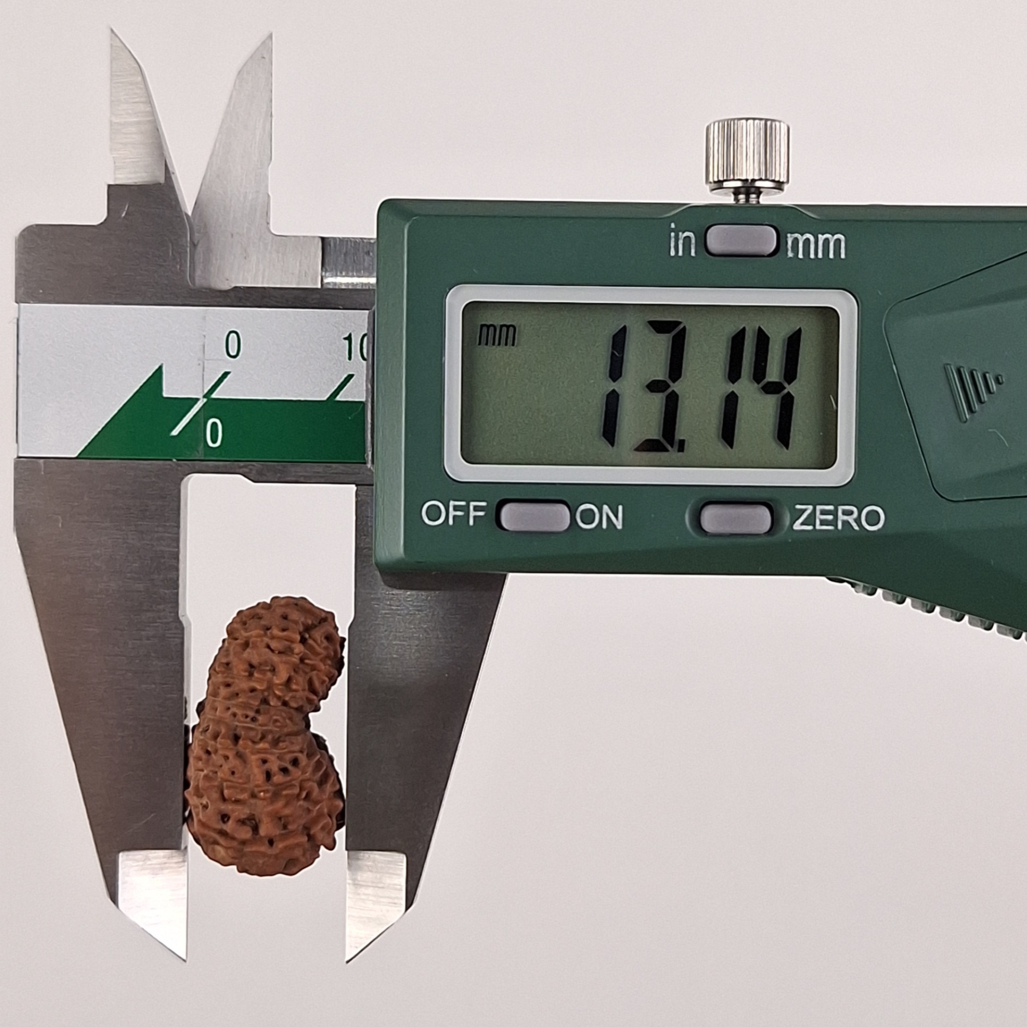 16 Mukhi Java Rudraksha 13.14 mm depth measurement