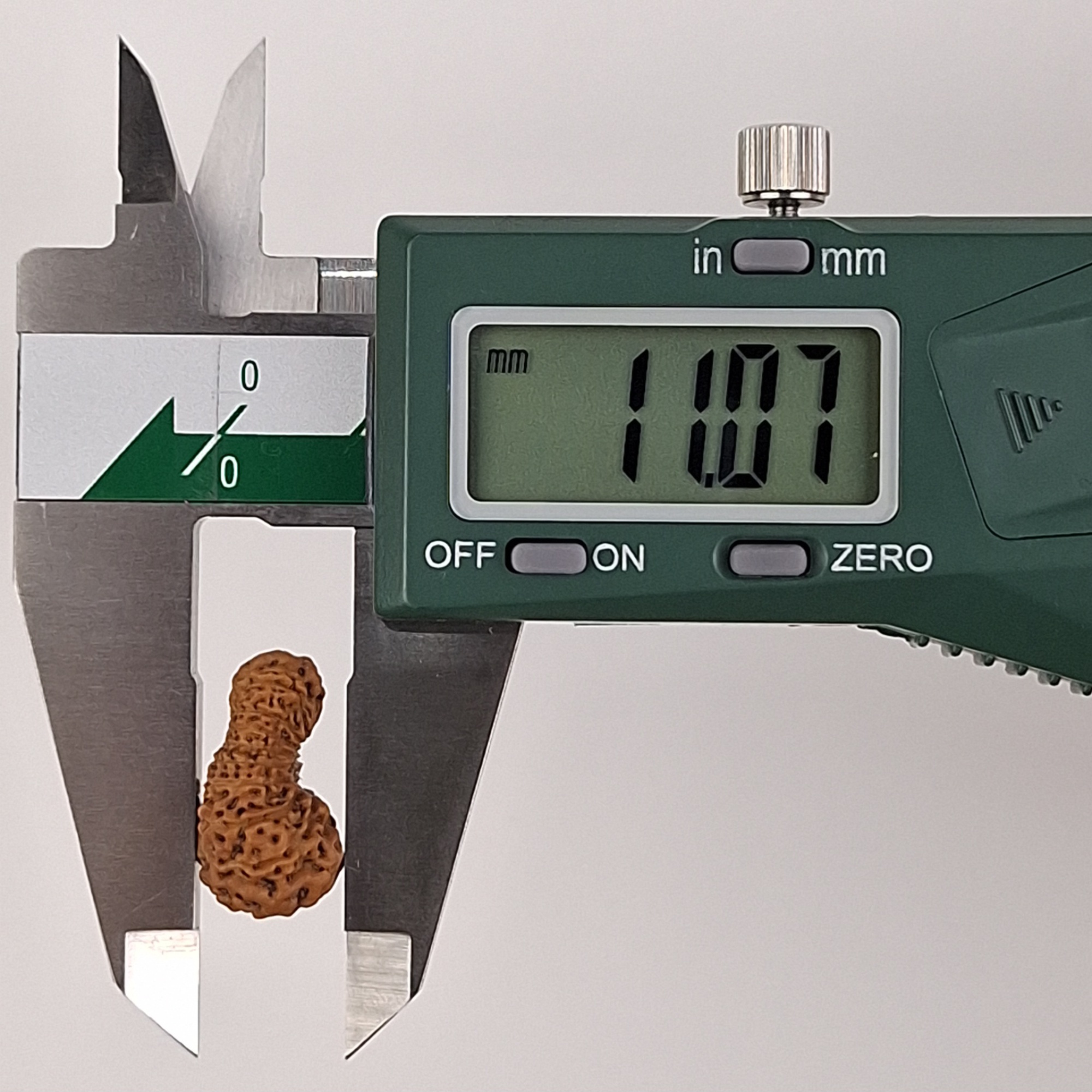 18 Mukhi Java Rudraksha 11.07 mm depth measurement