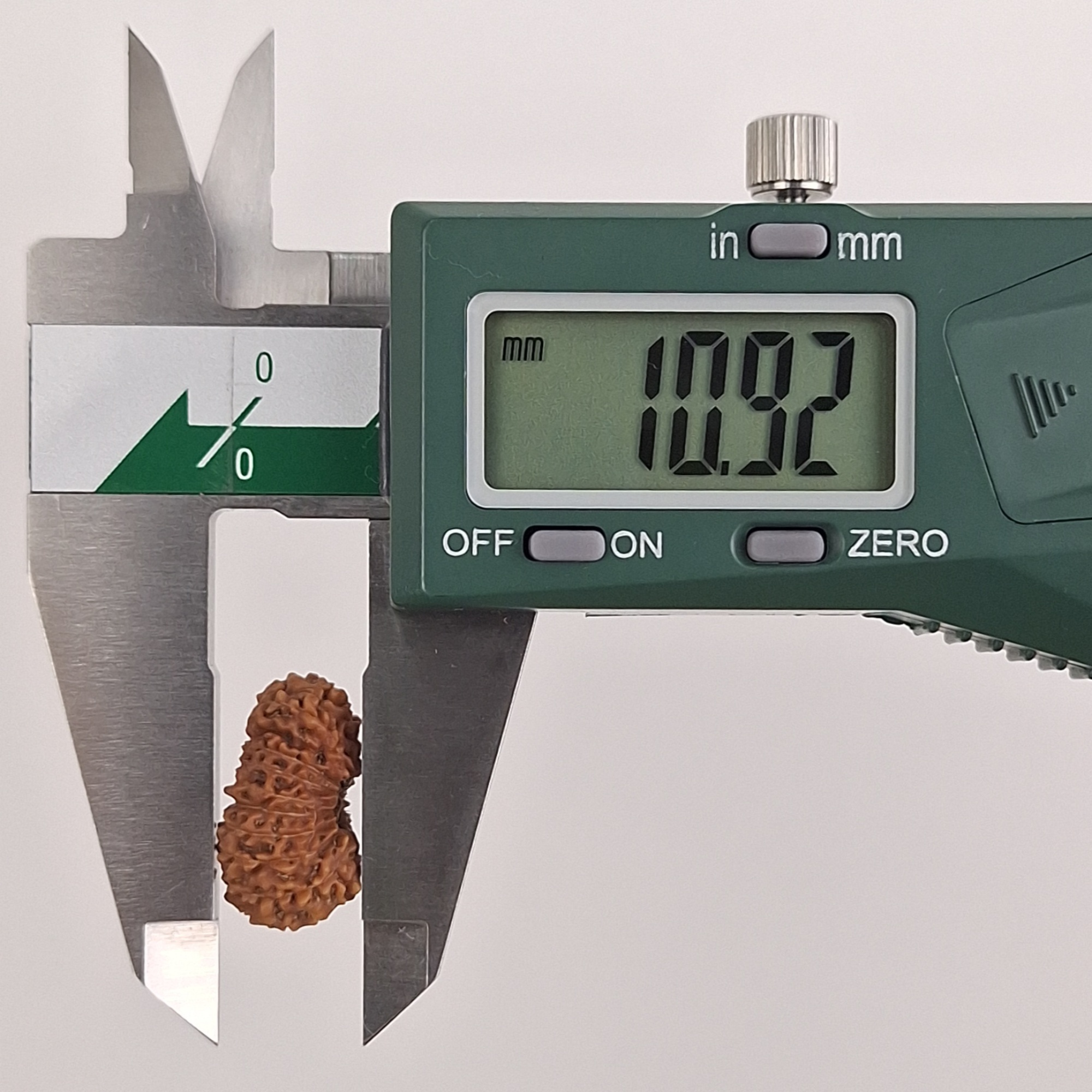 19 Mukhi Java Rudraksha 10.92 mm depth measurement