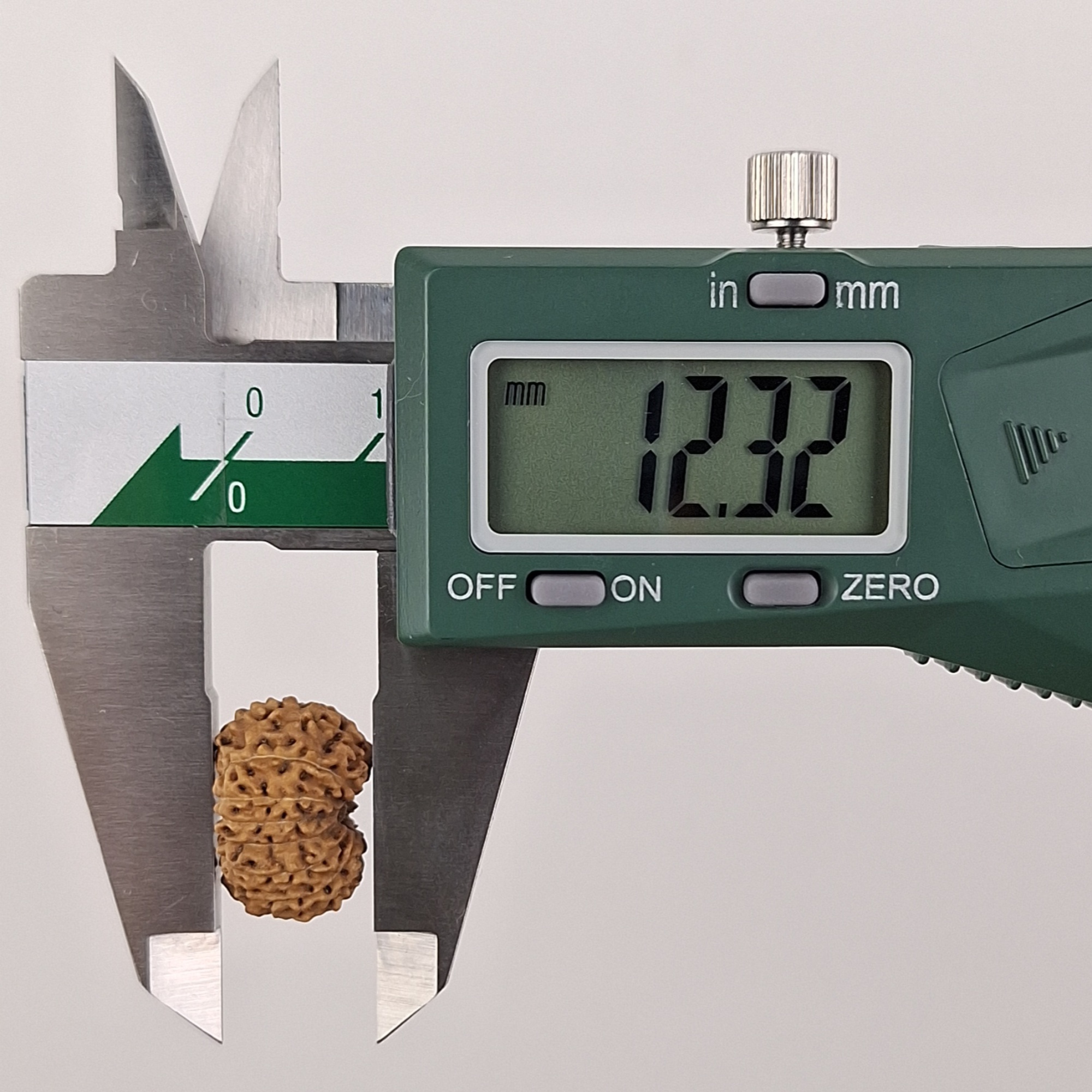 14 Mukhi Java Rudraksha 12.32 mm depth measurement