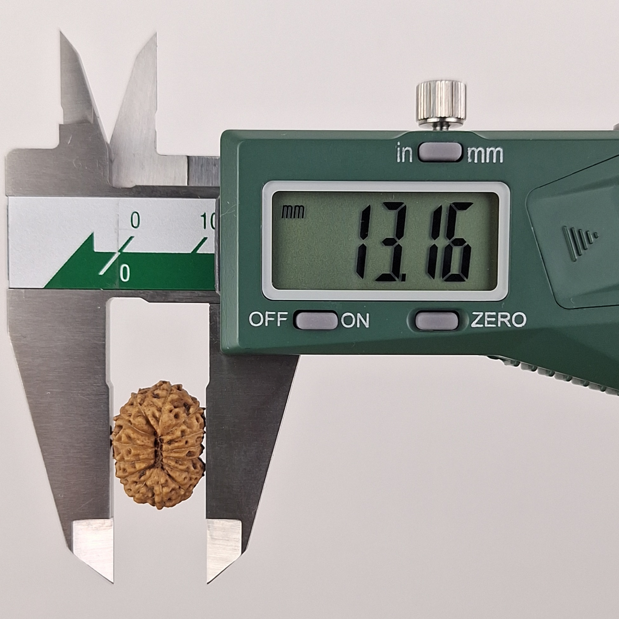 14 Mukhi Java Rudraksha 13.16 mm width measurement