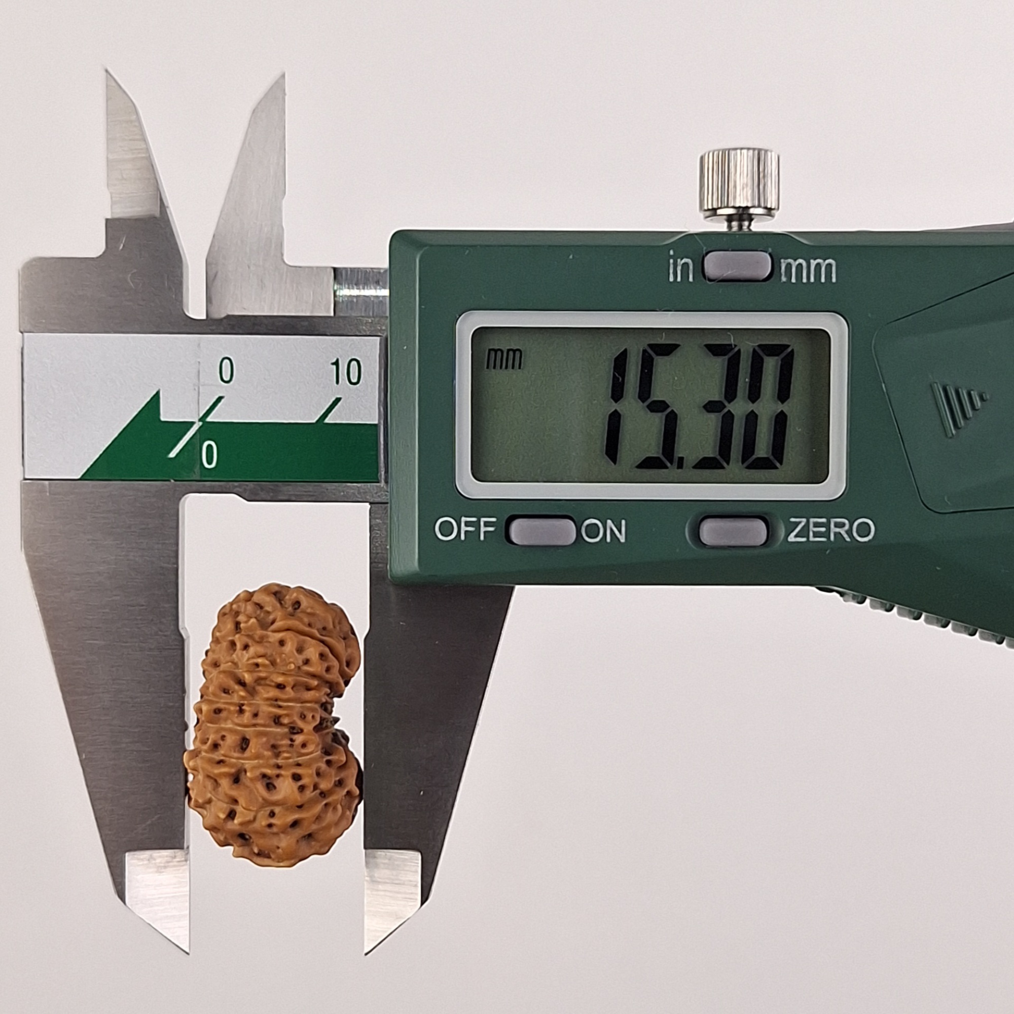 15 Mukhi Java Rudraksha 15.30 mm depth measurement