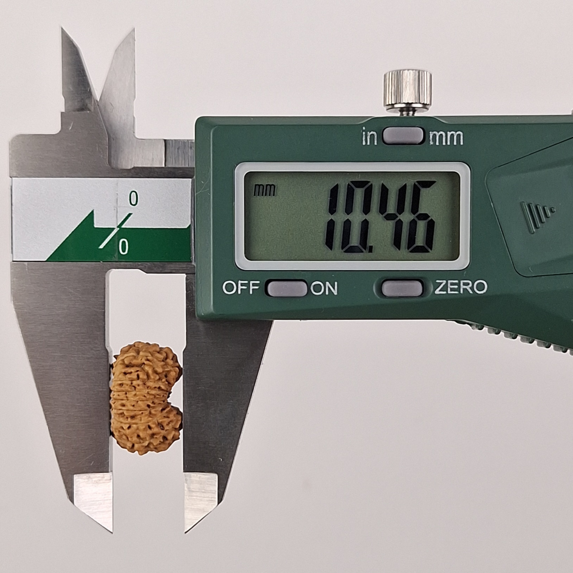16 Mukhi Java Rudraksha 10.46 mm depth measurement
