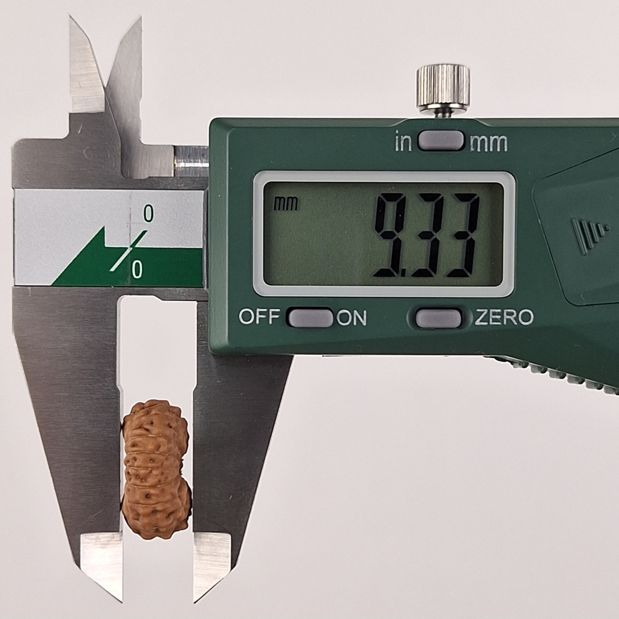 16 Mukhi Java Rudraksha 9.33 mm depth measurement