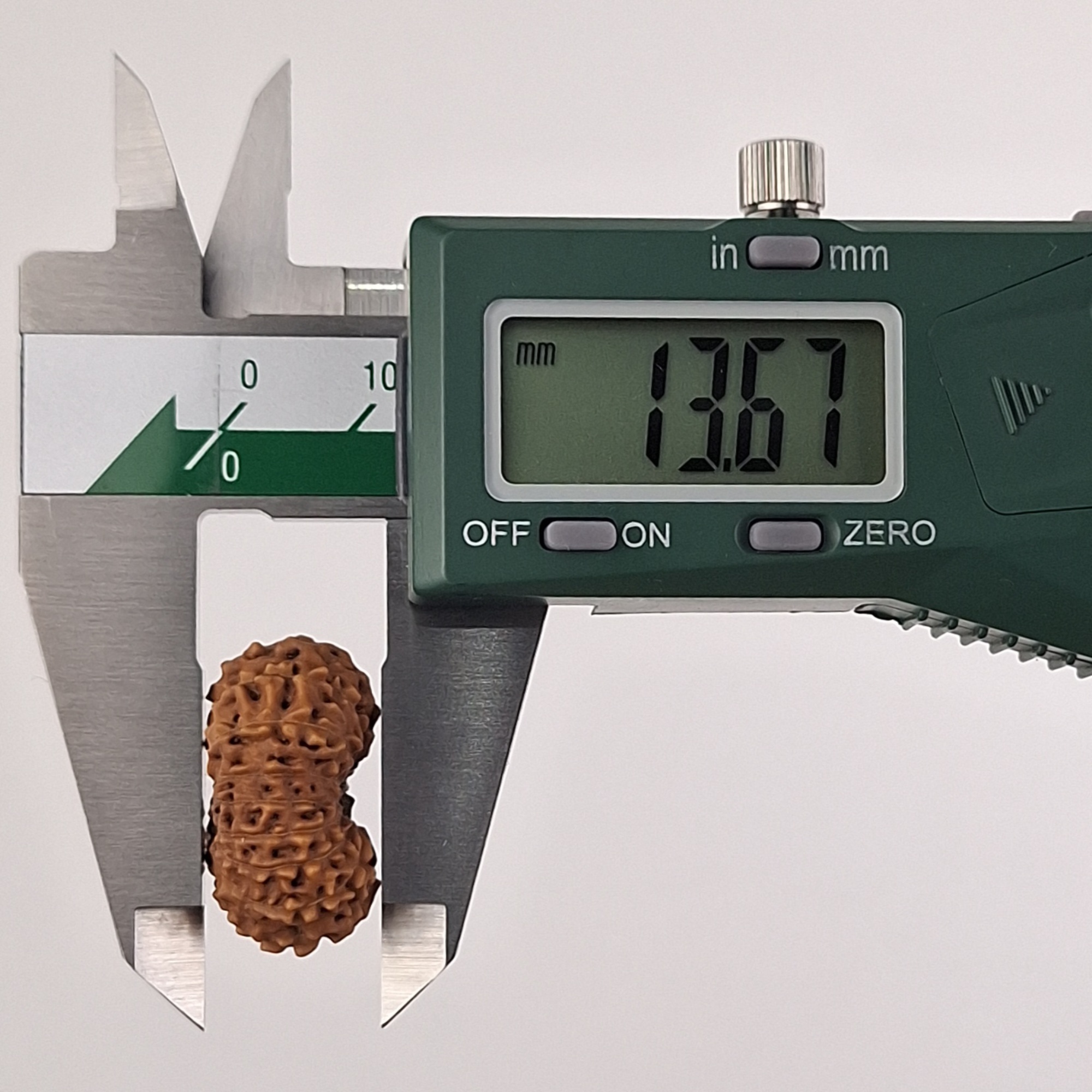 16 Mukhi Java Rudraksha 13.67 mm depth measurement