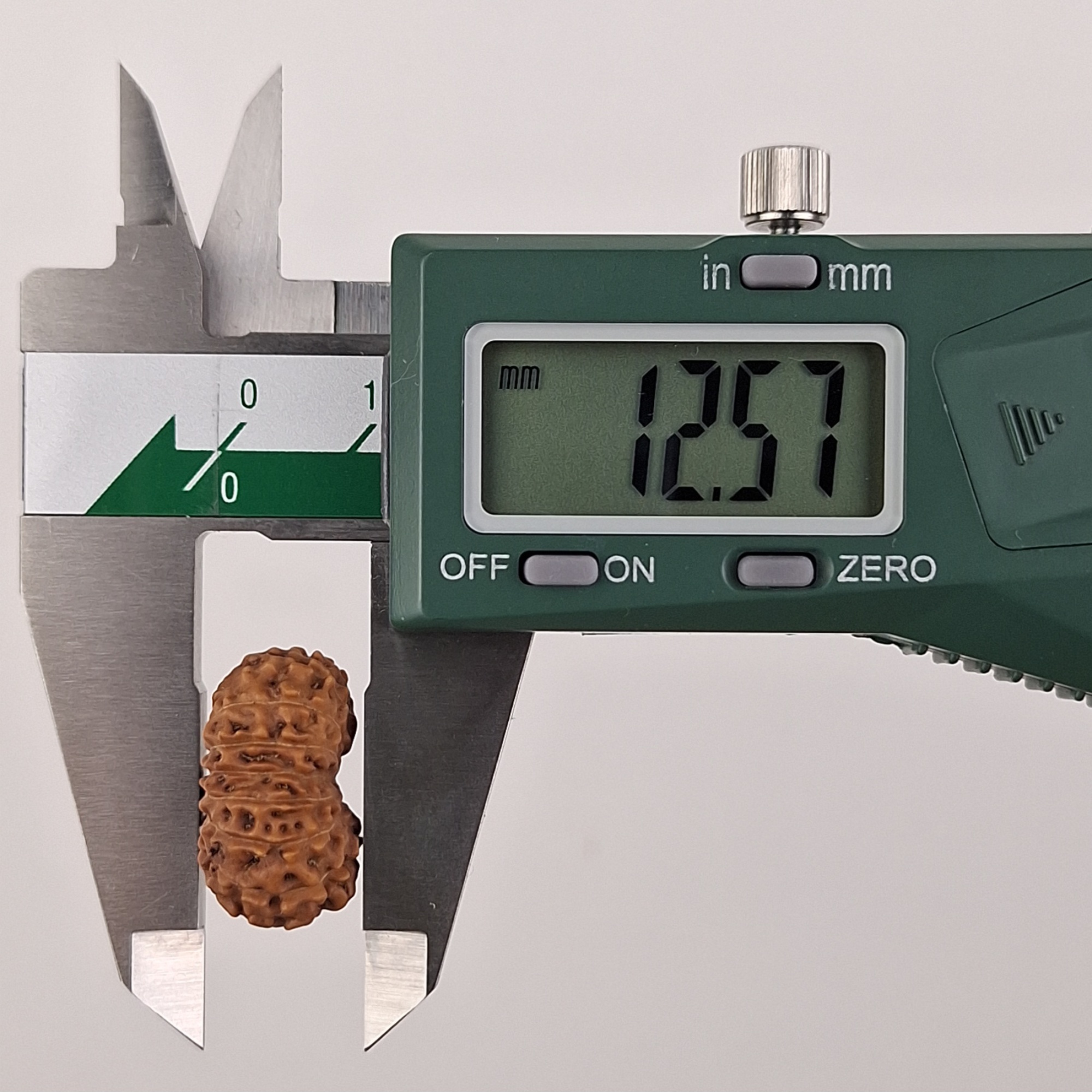 17 Mukhi Java Rudraksha 12.57 mm depth measurement