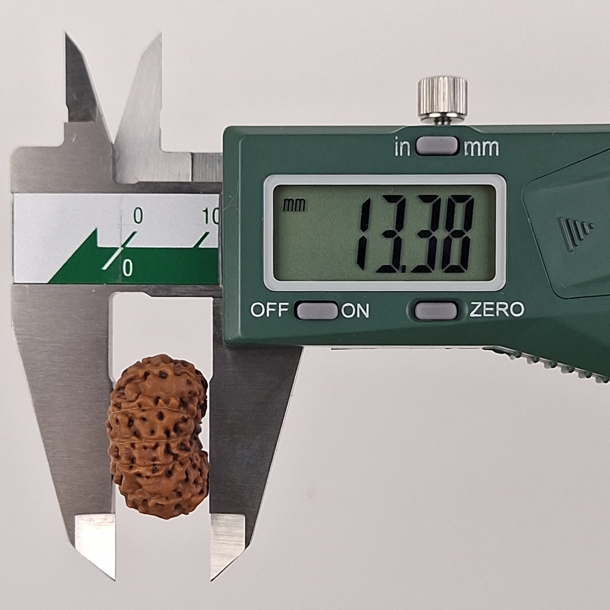 12 Mukhi Java Rudraksha 13.38 mm depth measurement