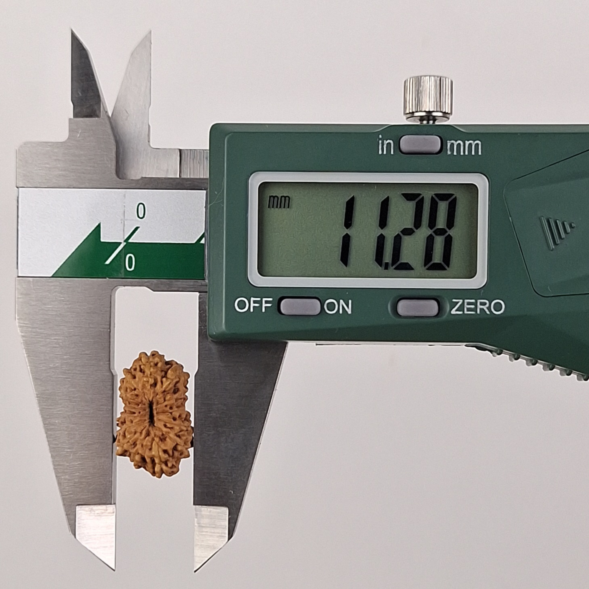 14 Mukhi Java Rudraksha 11.28 mm width measurement