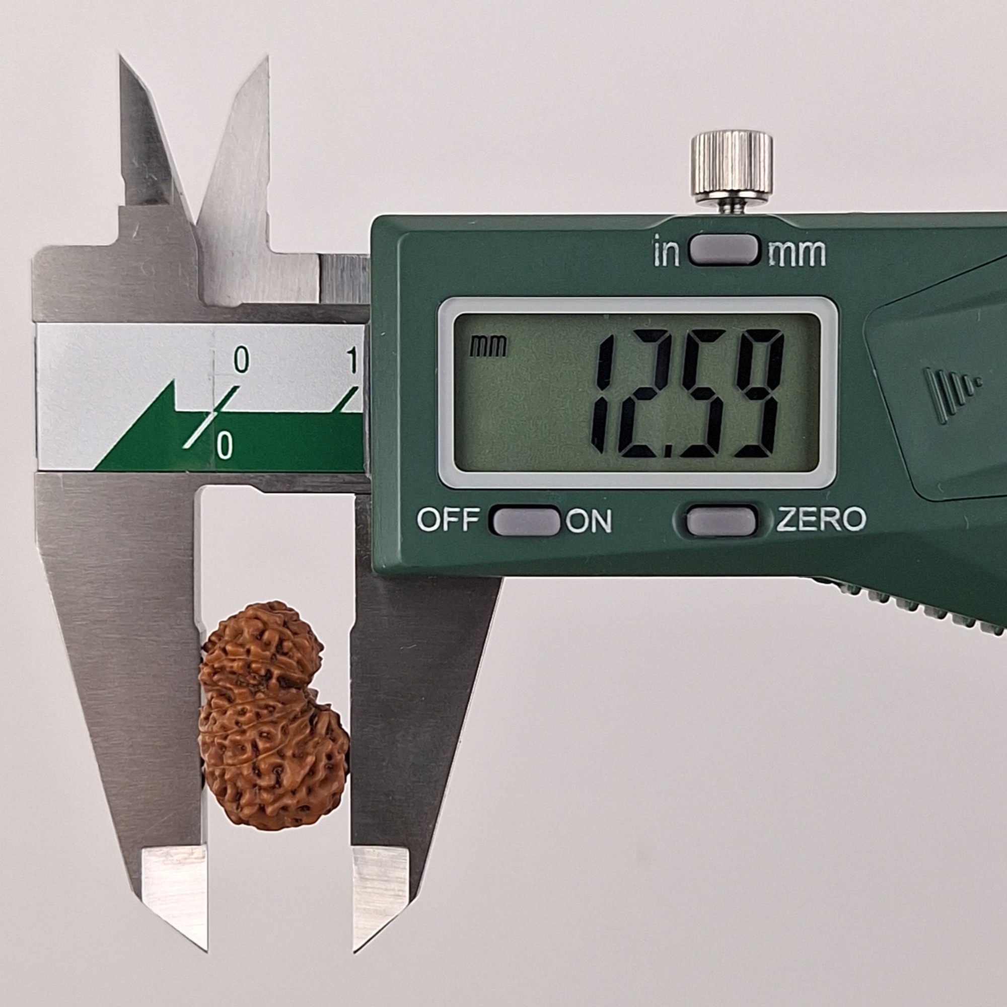 14 Mukhi Java Rudraksha 12.59 mm depth measurement