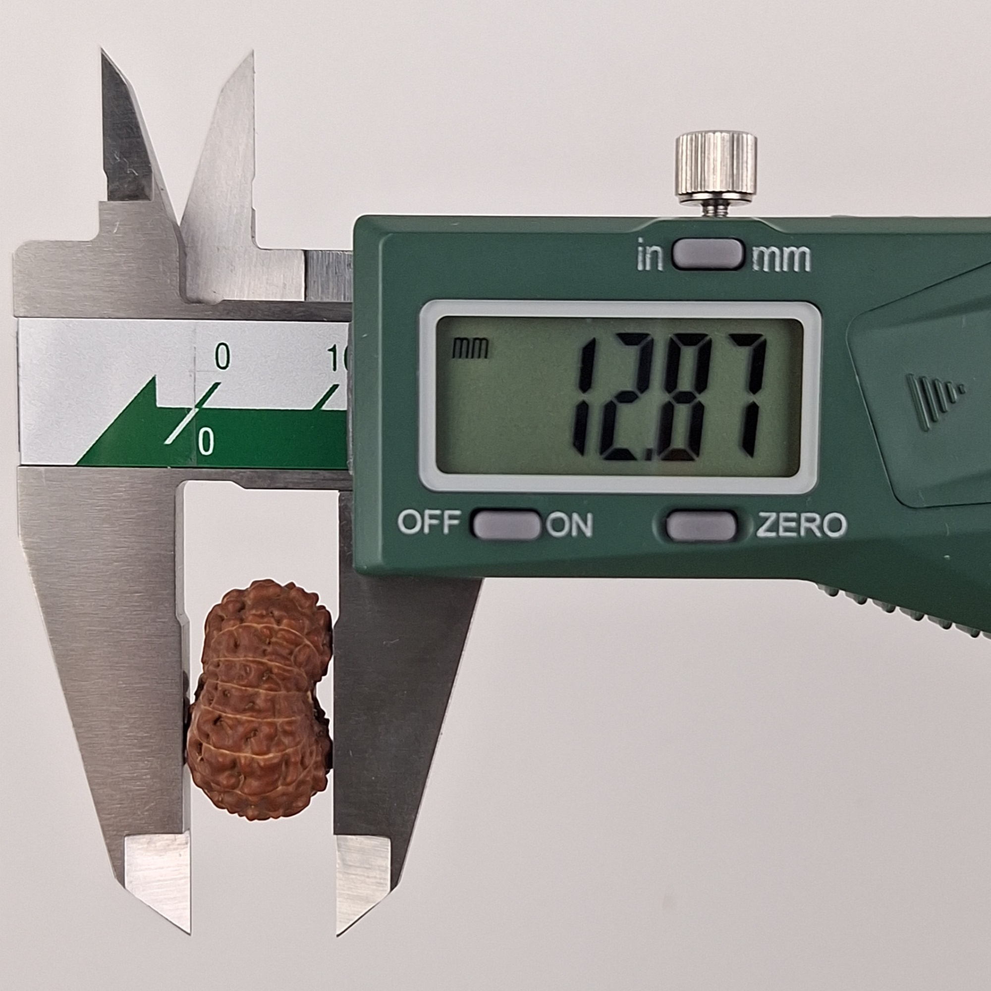 14 Mukhi Java Rudraksha 12.87 mm depth measurement