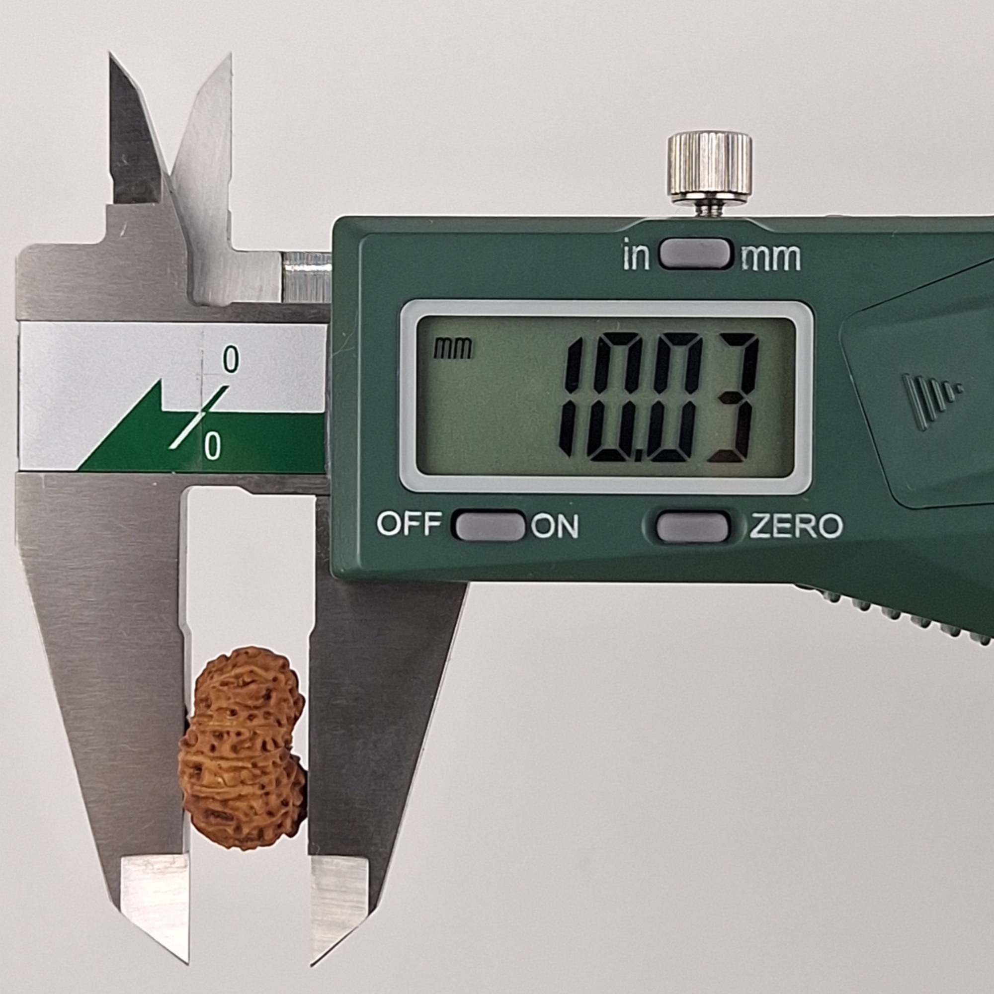 15 Mukhi Java Rudraksha 10.03 mm depth measurement