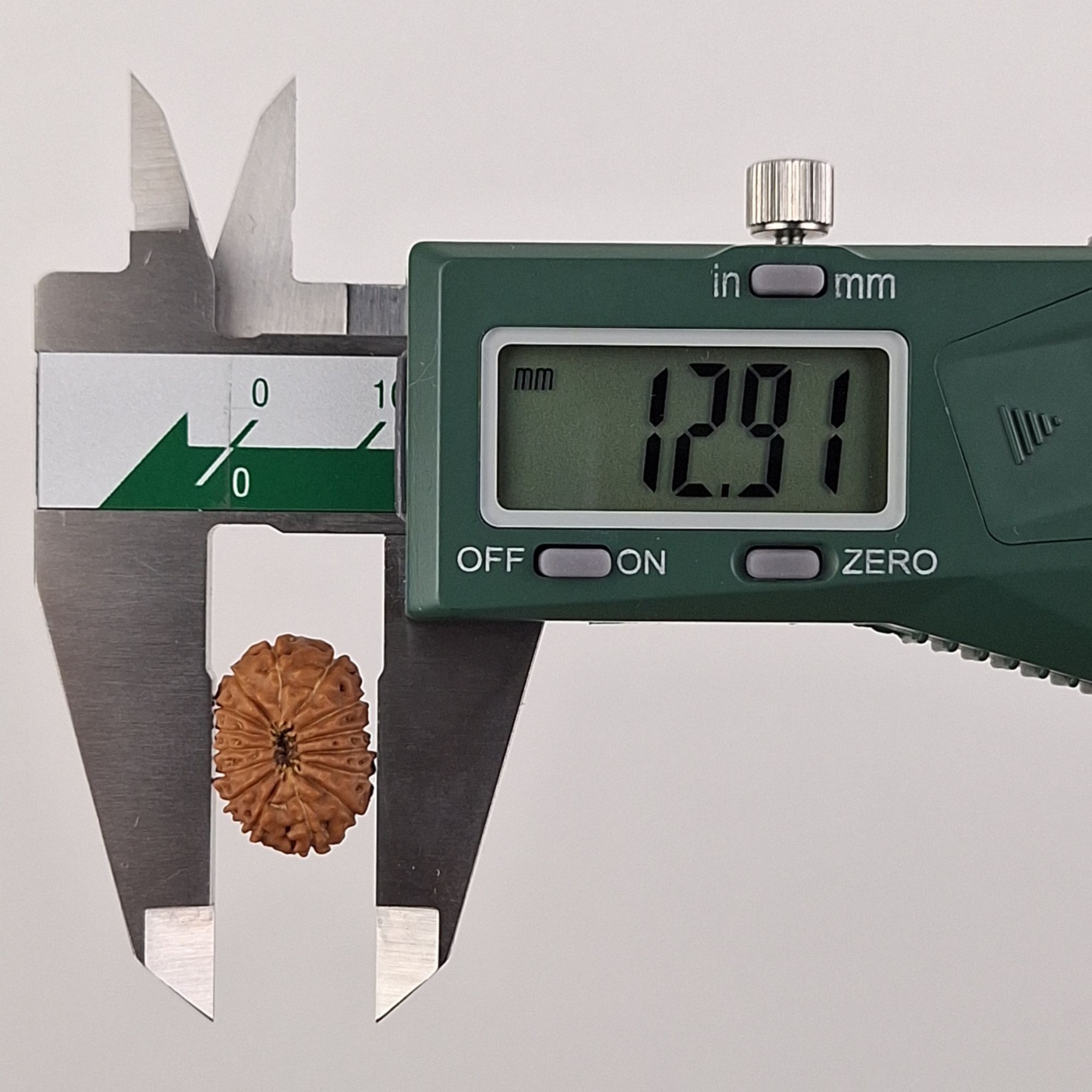 15 Mukhi Java Rudraksha 12.91 mm width measurement