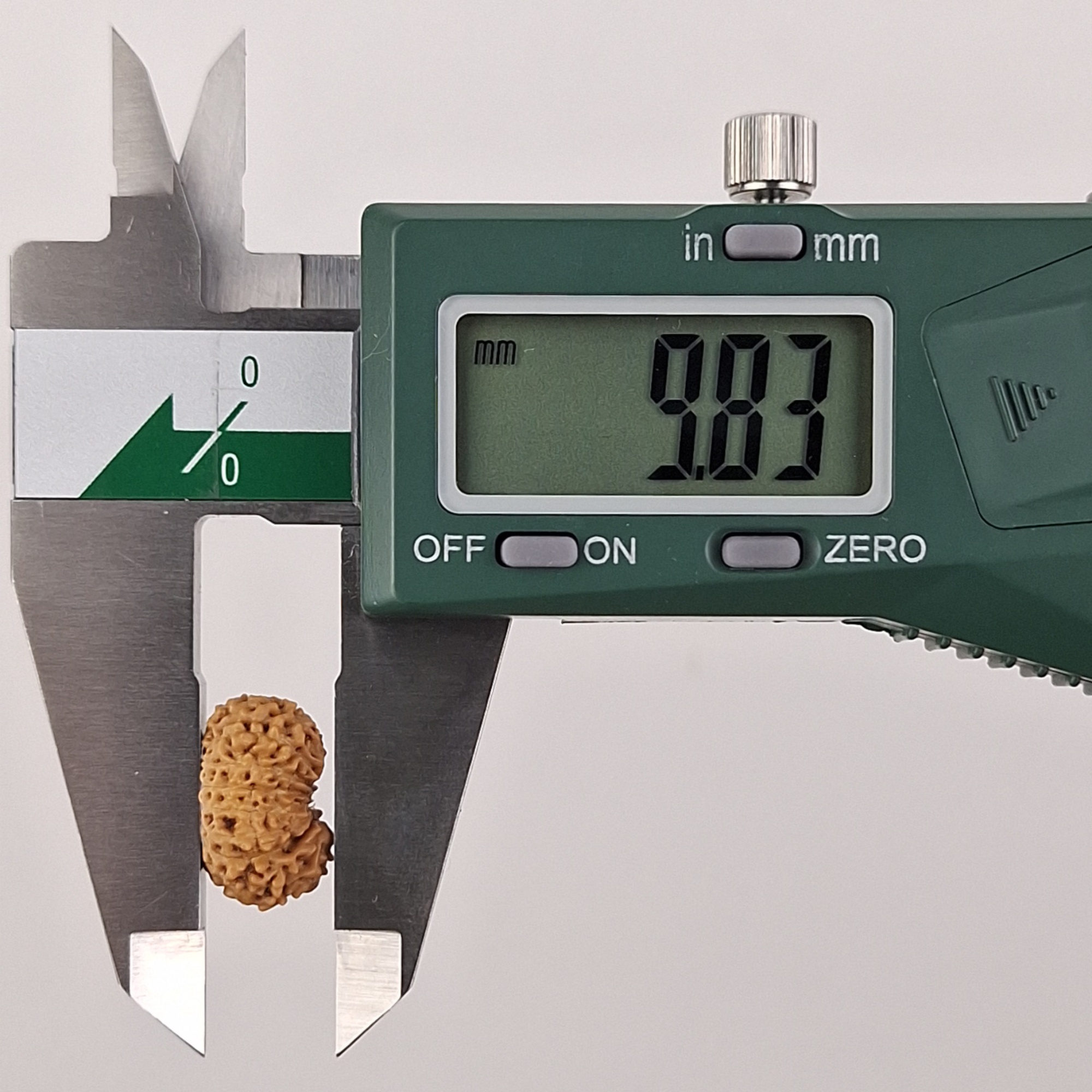 16 Mukhi Java Rudraksha 9.83 mm depth measurement