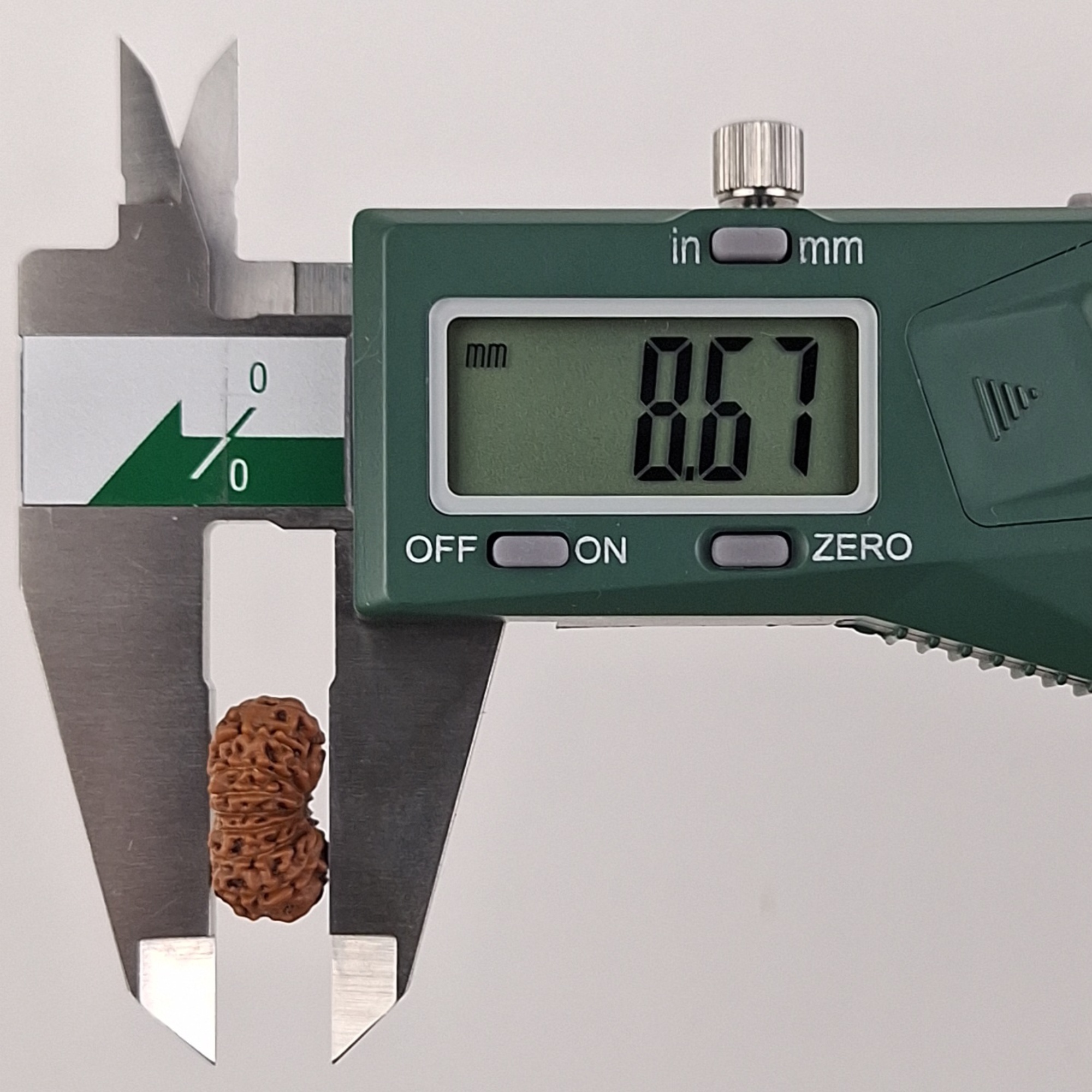 16 Mukhi Java Rudraksha 8.67 mm depth measurement