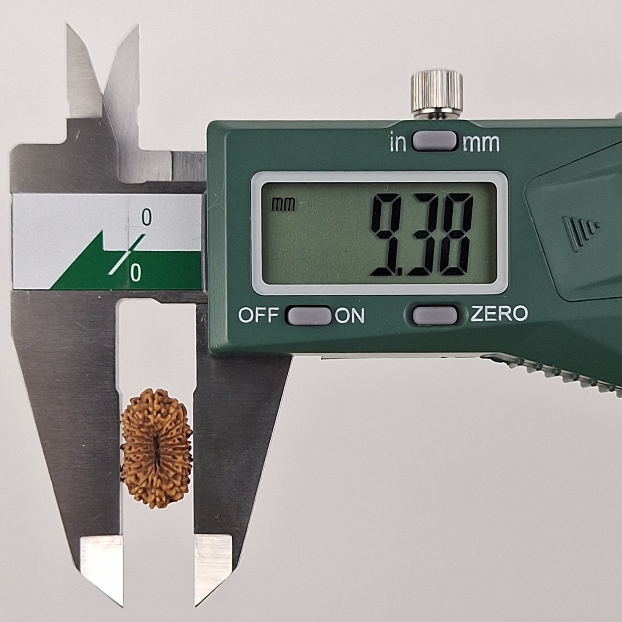 18 Mukhi Java Rudraksha 9.38 mm width measurement