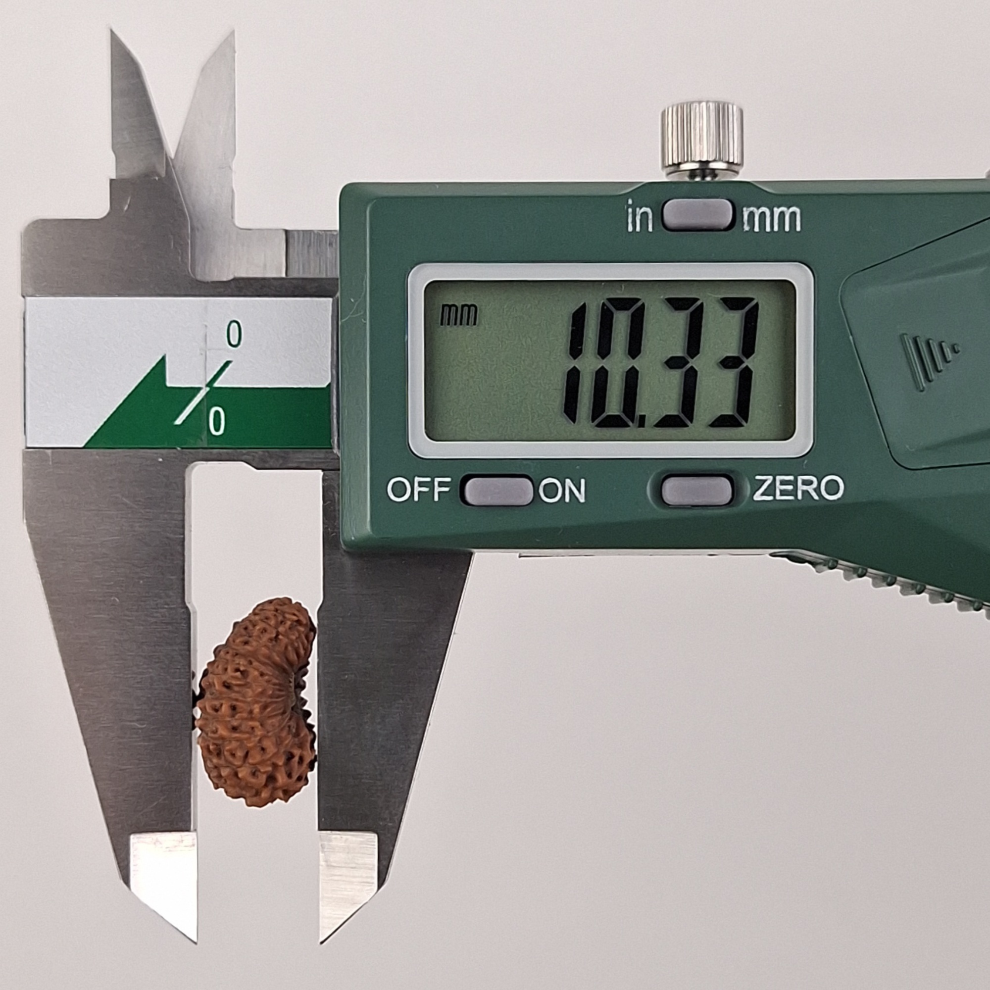 22 Mukhi Java Rudraksha 10.33 mm depth measurement