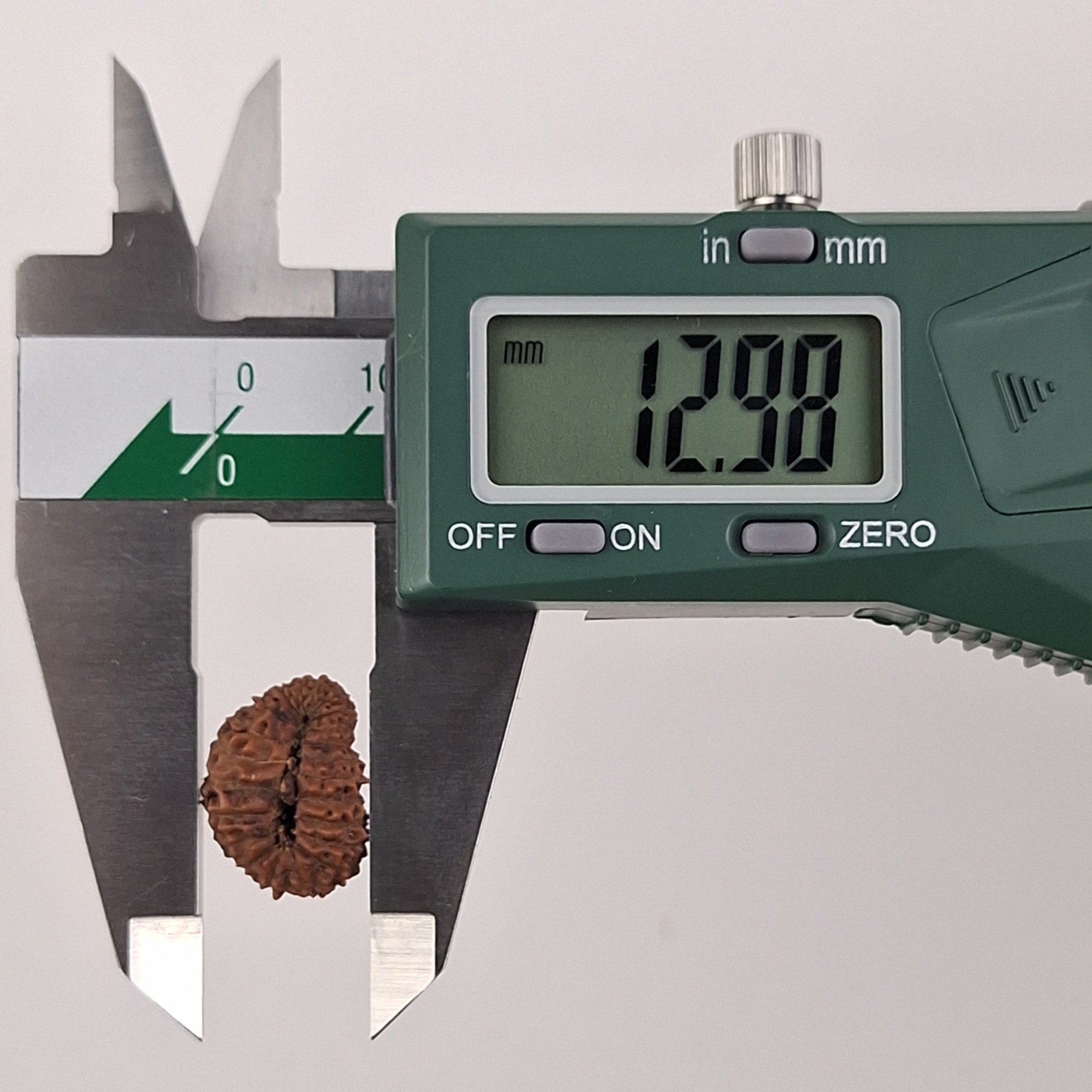 22 Mukhi Java Rudraksha 12.98 mm width measurement