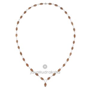 1 Mukhi Rudraksha Mala Java Beads 32+1 Grade A with 925 Silver Cage