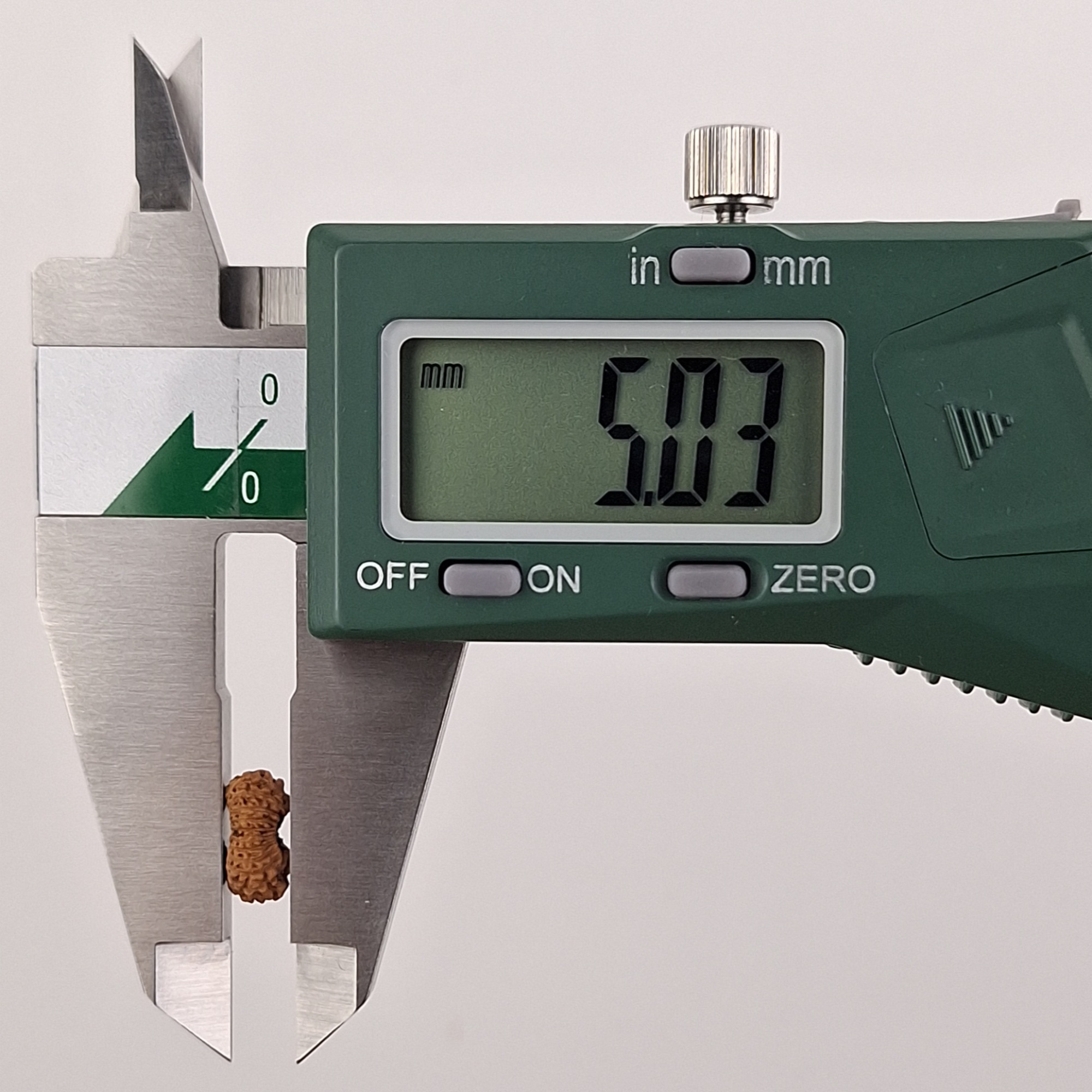21 Mukhi Java Rudraksha 5.03 mm depth measurement