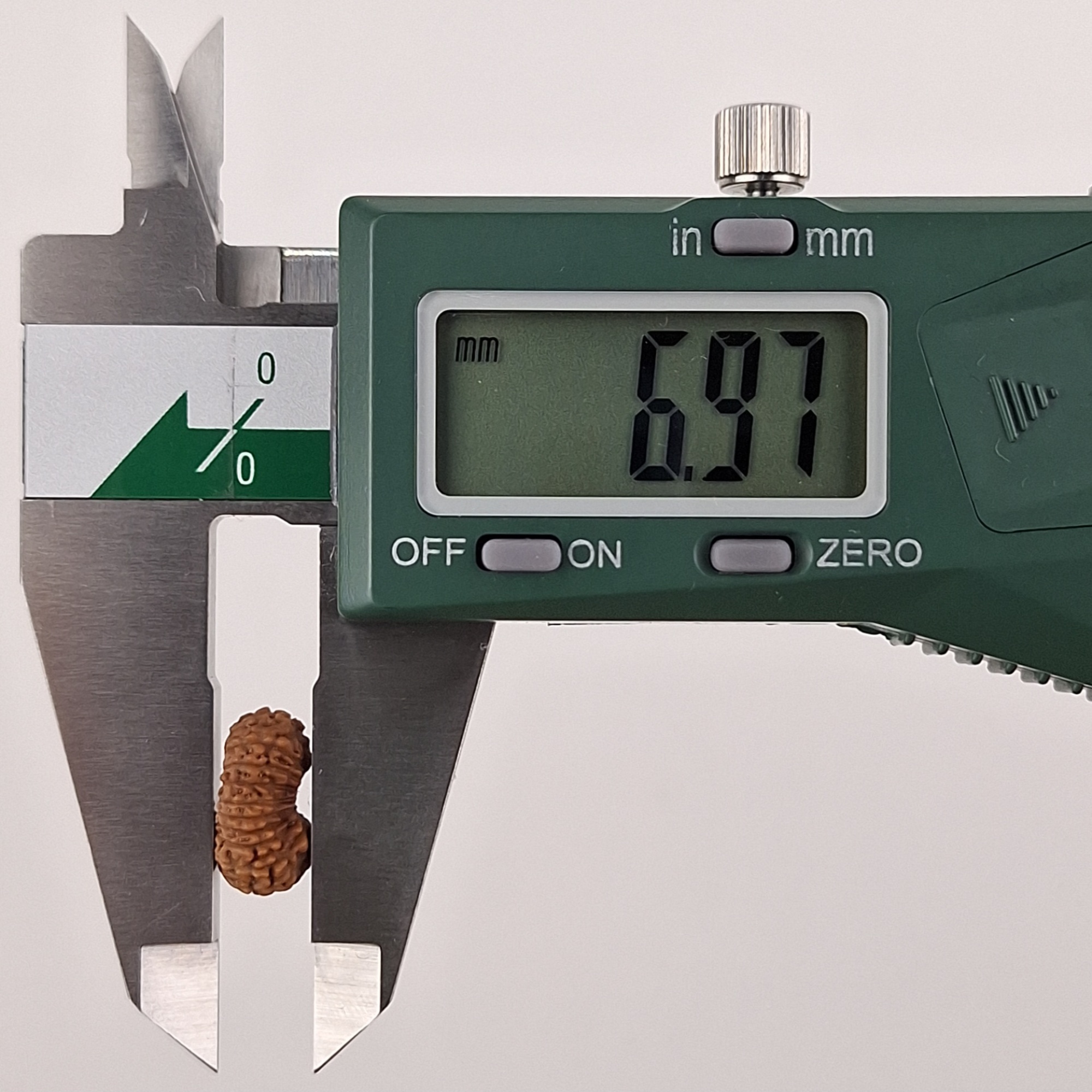22 Mukhi Java Rudraksha 6.97 mm depth measurement