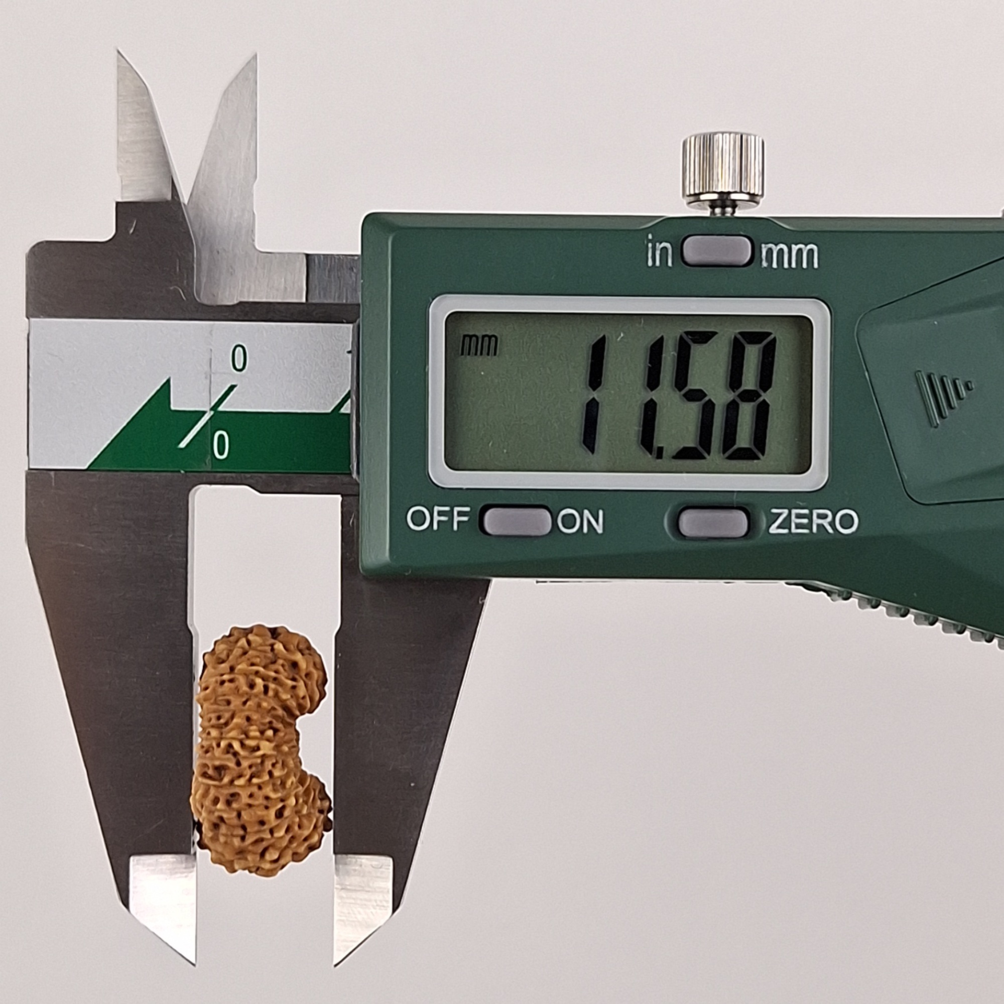 24 Mukhi Java Rudraksha 11.58 mm depth measurement