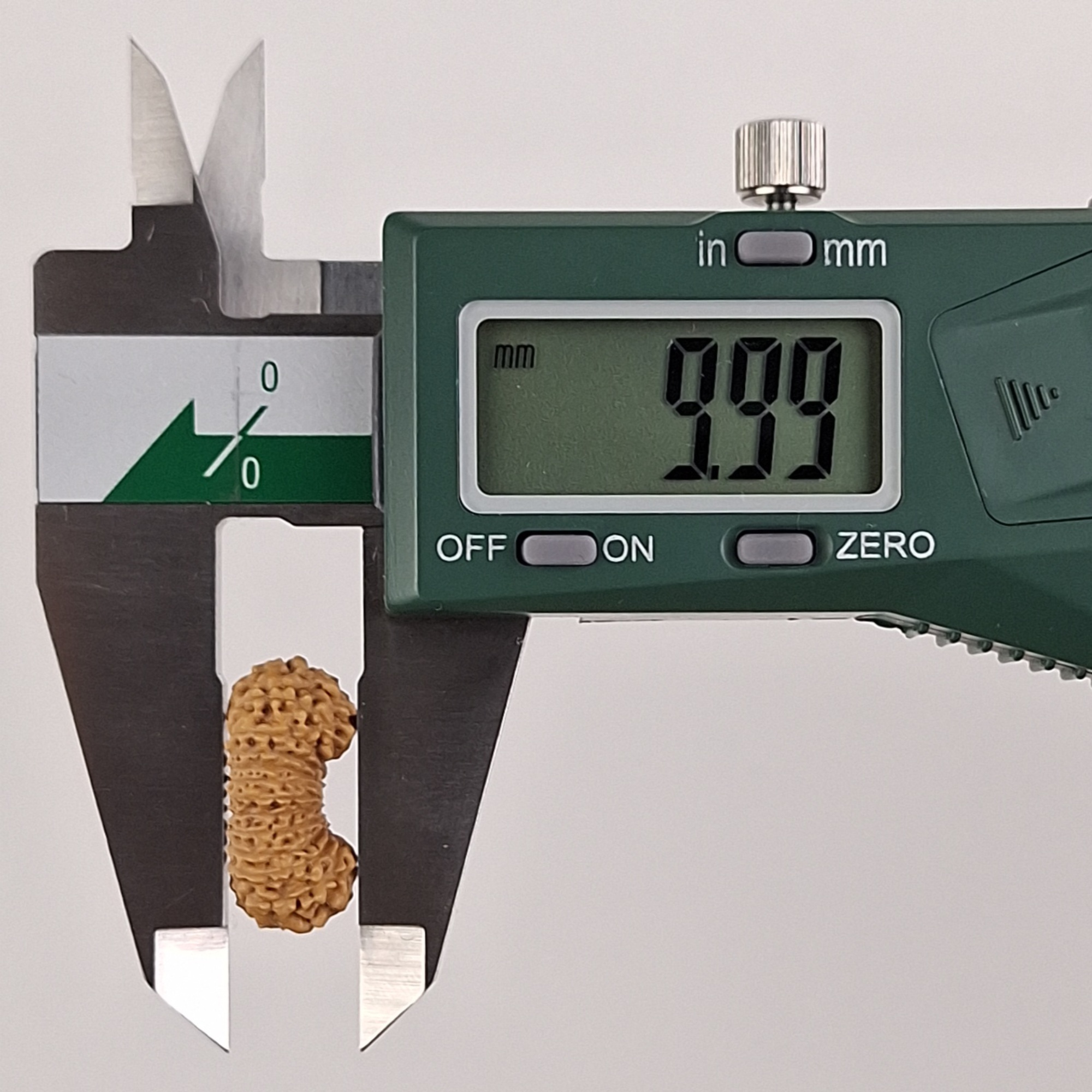 25 Mukhi Java Rudraksha 9.99 mm depth measurement