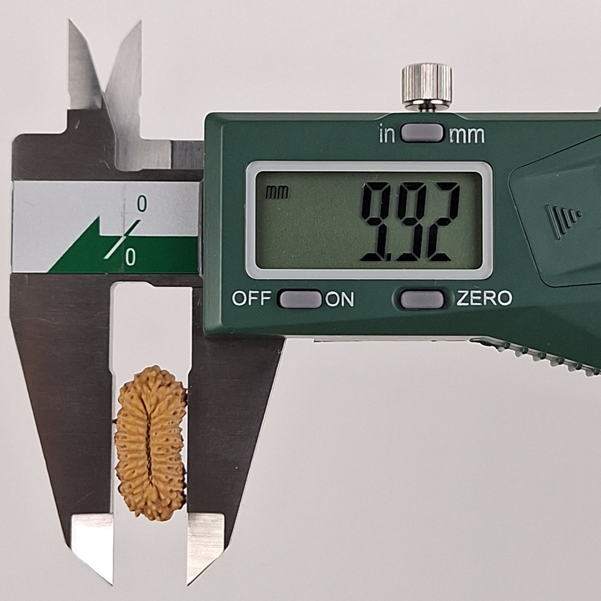 25 Mukhi Java Rudraksha 9.92 mm width measurement