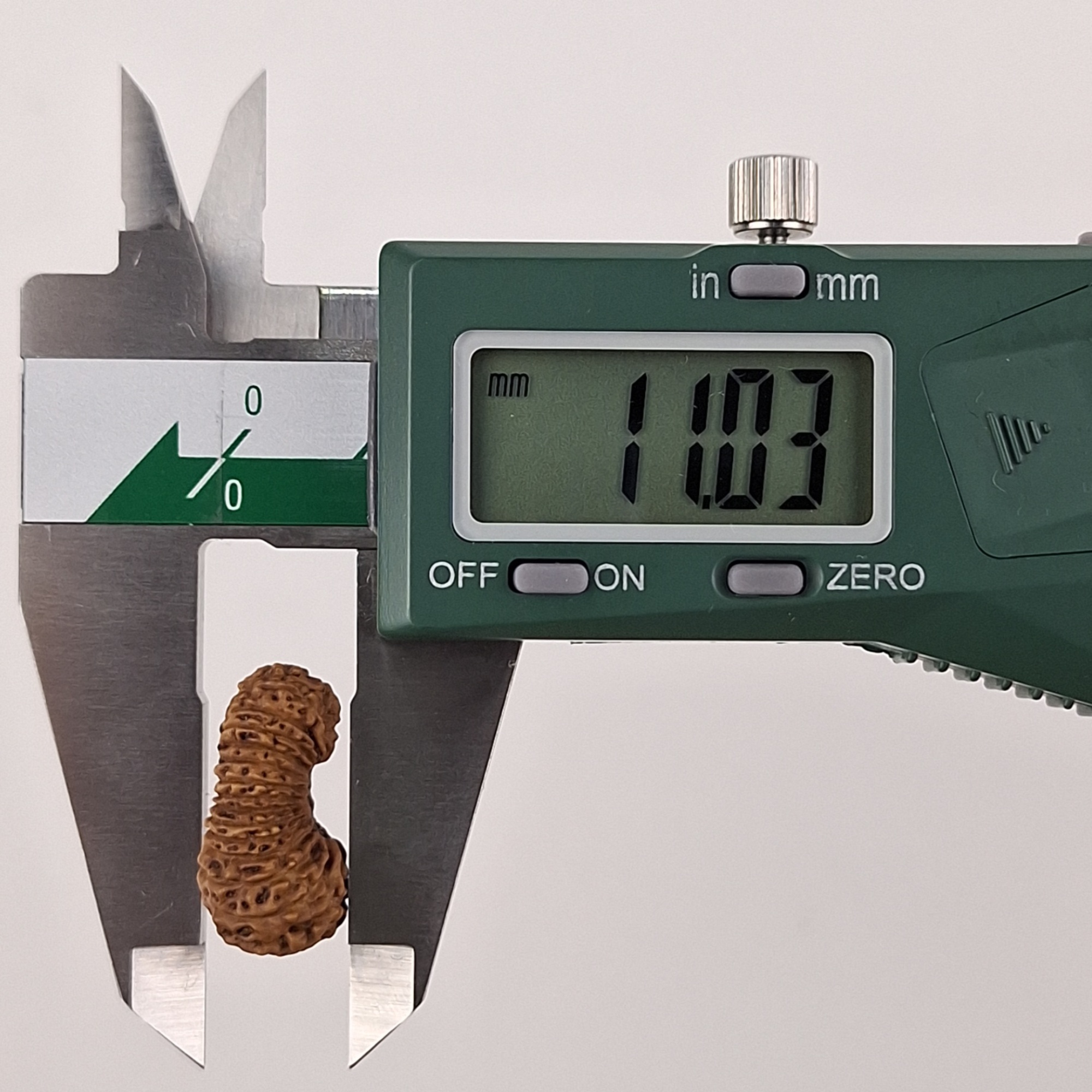 30 Mukhi Java Rudraksha 11.03 mm depth measurement